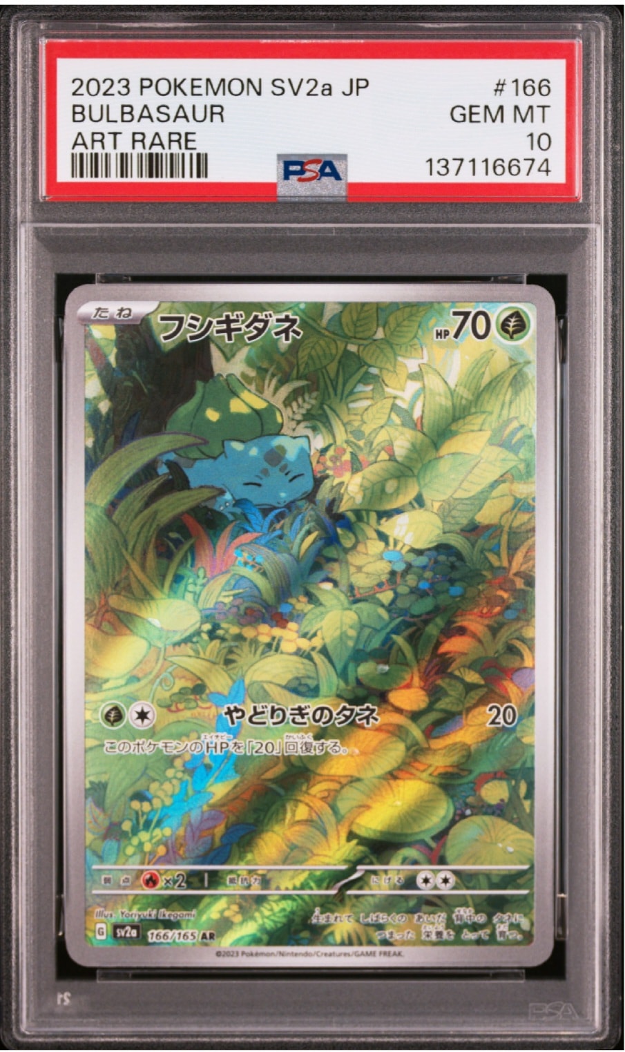 MミュウツーEX [CP4 051/131](プレミアムチャンピオンパック「EX×M
