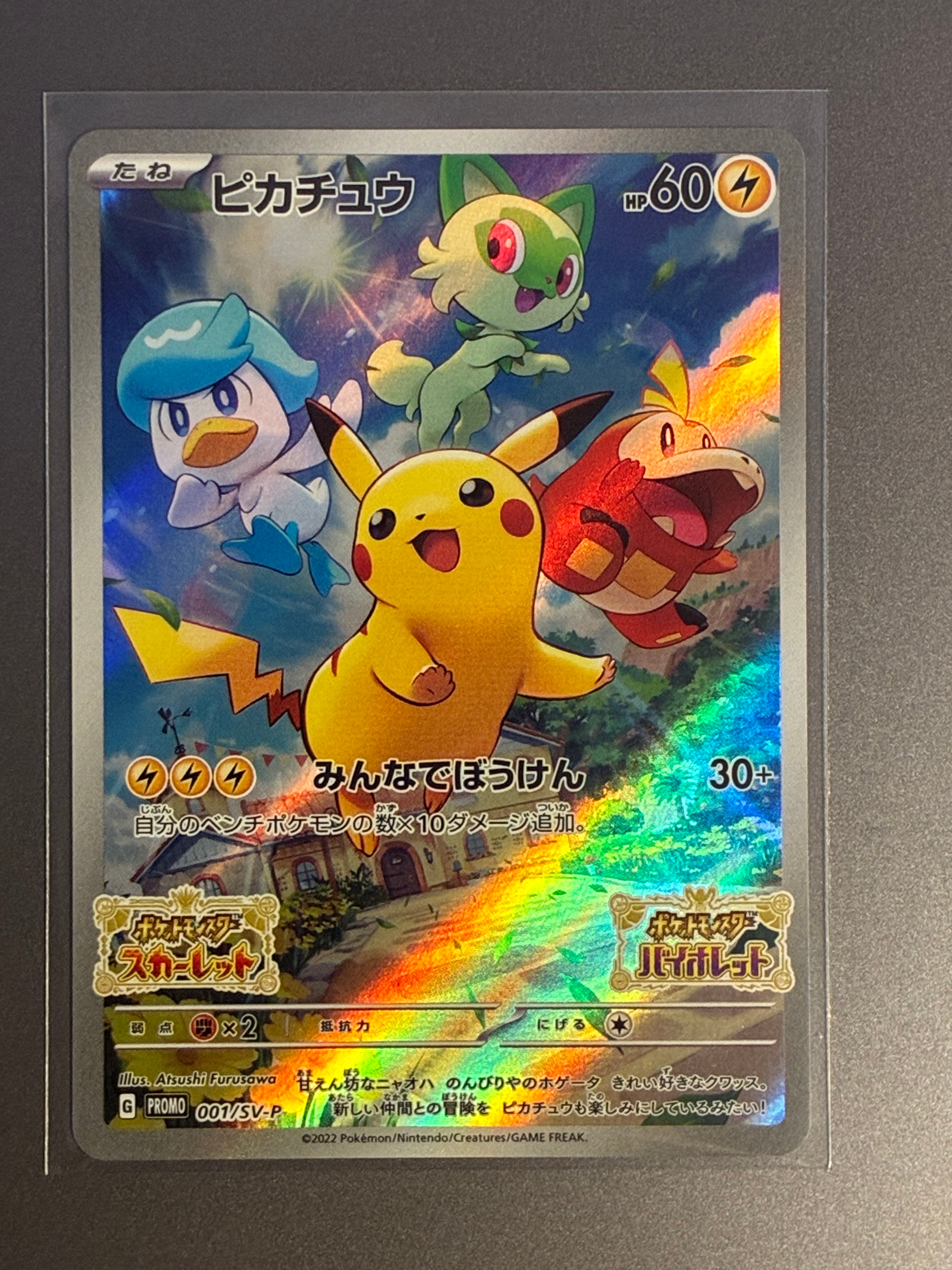 ボスごっこピカチュウ マグマ団: プロモ[SM-P 193](プロモーション