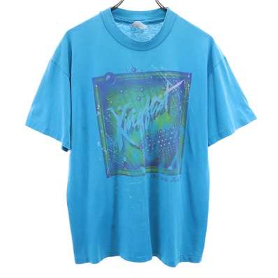 Hanes ヘインズ 90s USA製 オールド プリント 半袖 Tシャツ L ブルー
