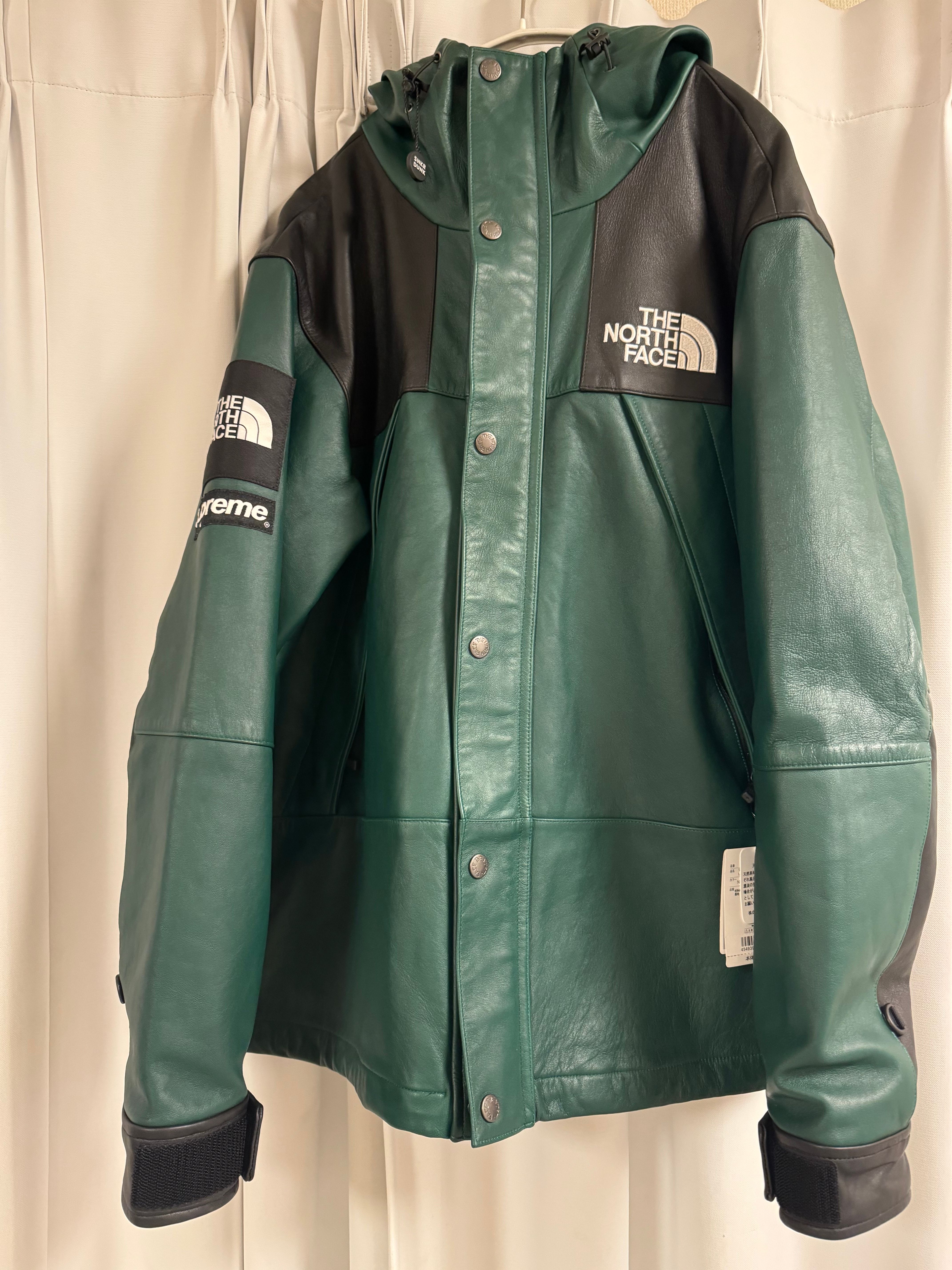 Supreme x The North Face Leather Mountain Parka "Green"