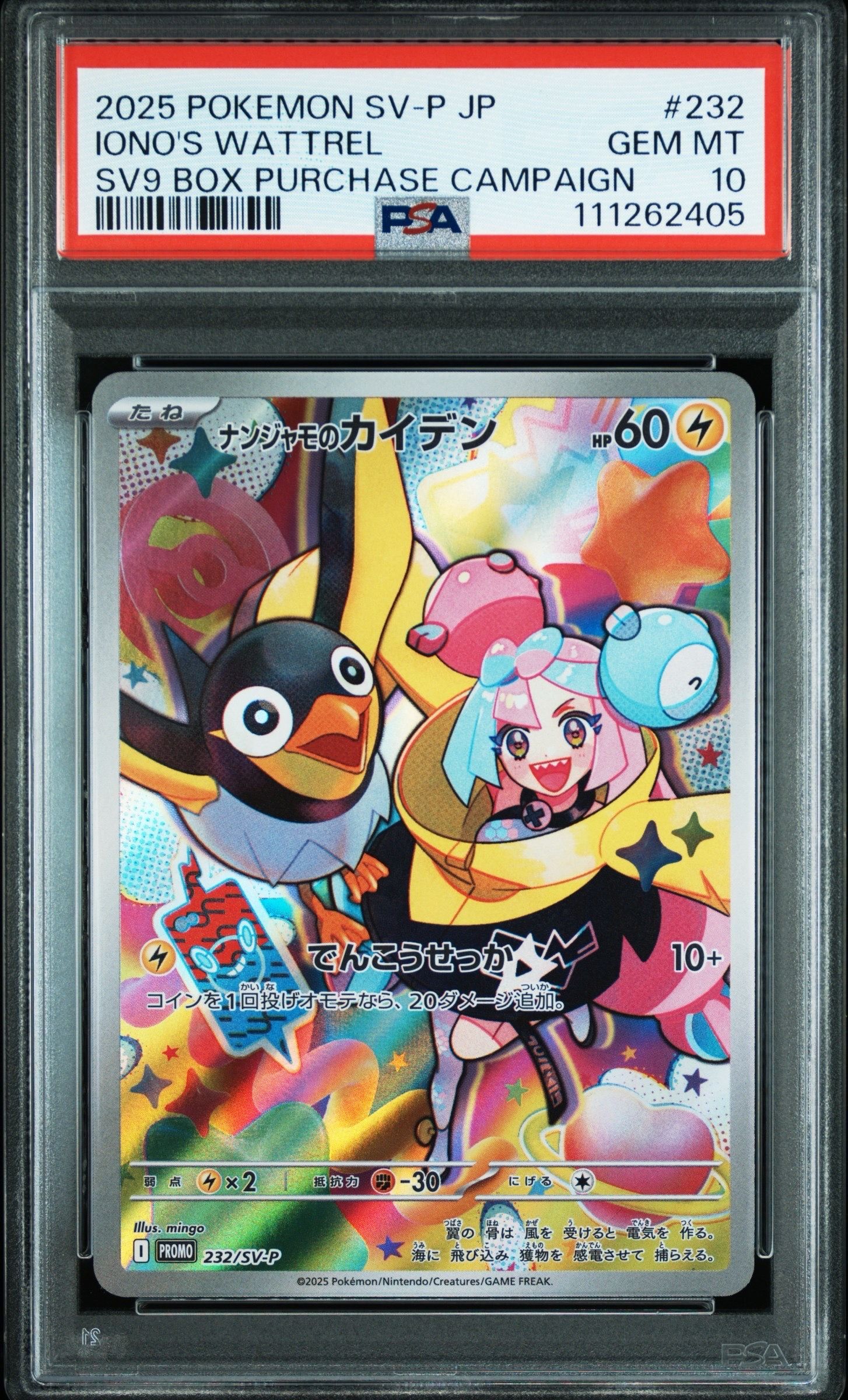 バトルパートナーズ　シュリンク付きボックス　スニダン産 検索 | スニーカーダンク