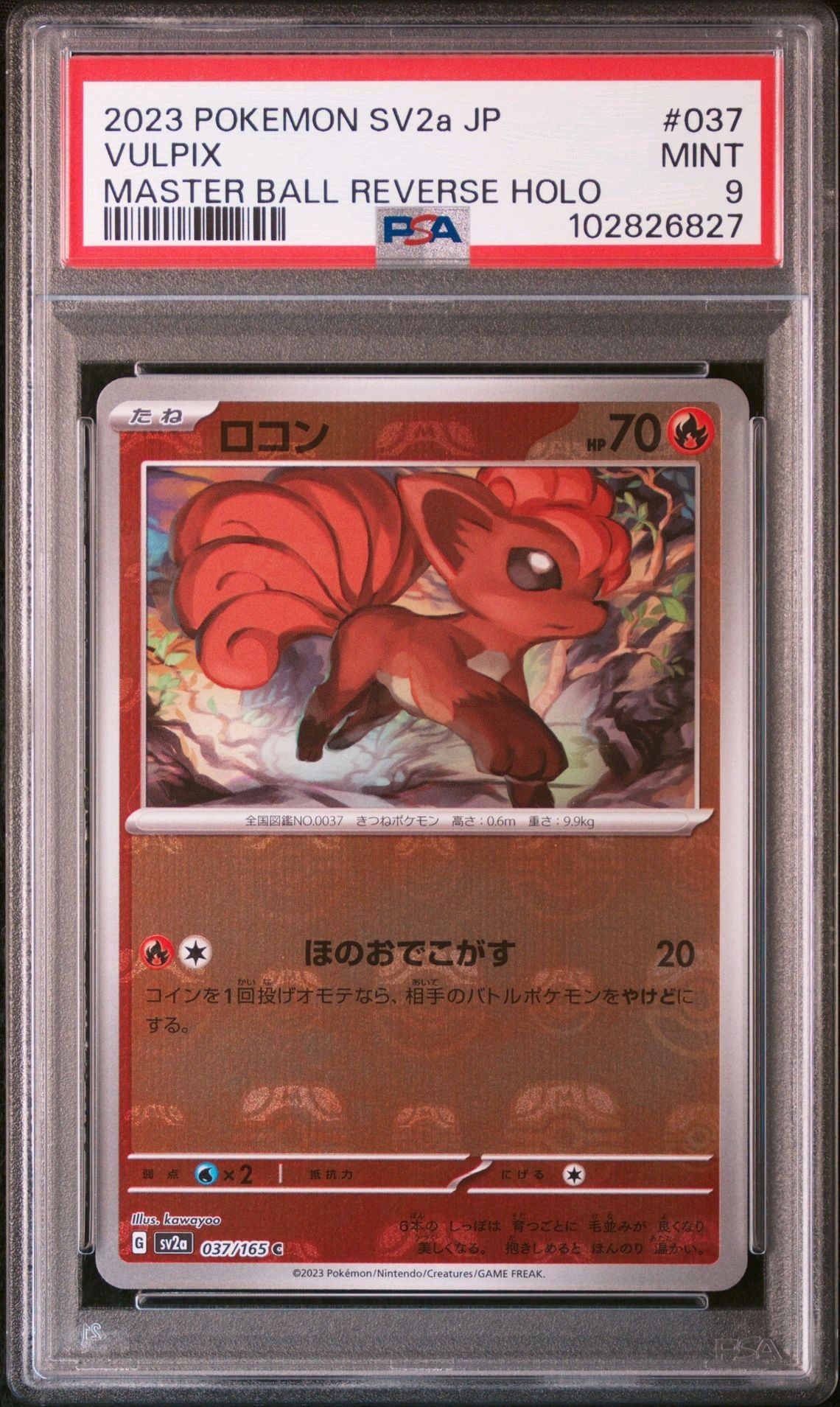 ロコン C: マスターボールミラー[SV2a 037/165](強化拡張パック「ポケモンカード151」)