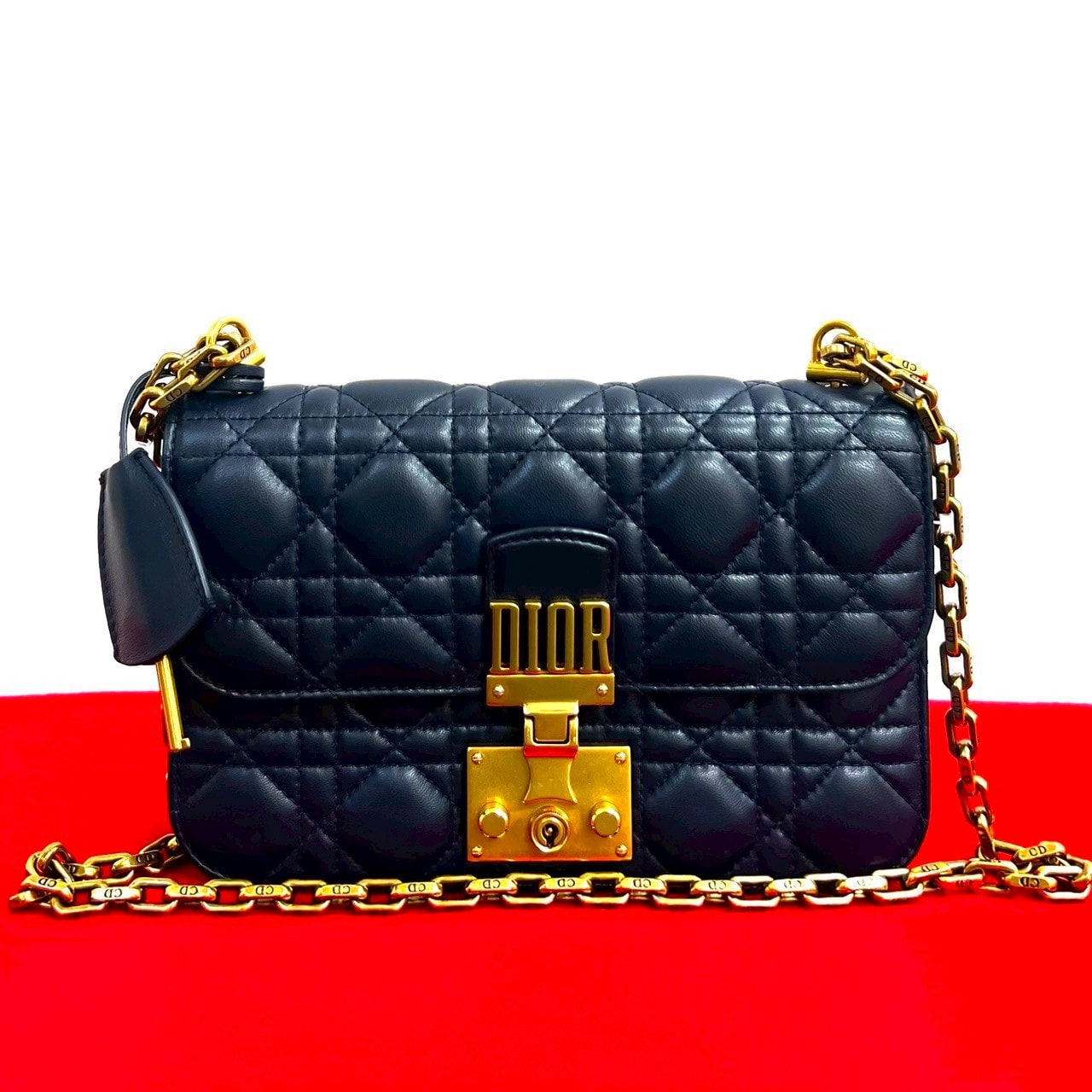 Christian Dior ディオール アディクト カナージュ ロゴ 金具 レザー ショルダーバッグ ブルー
32687