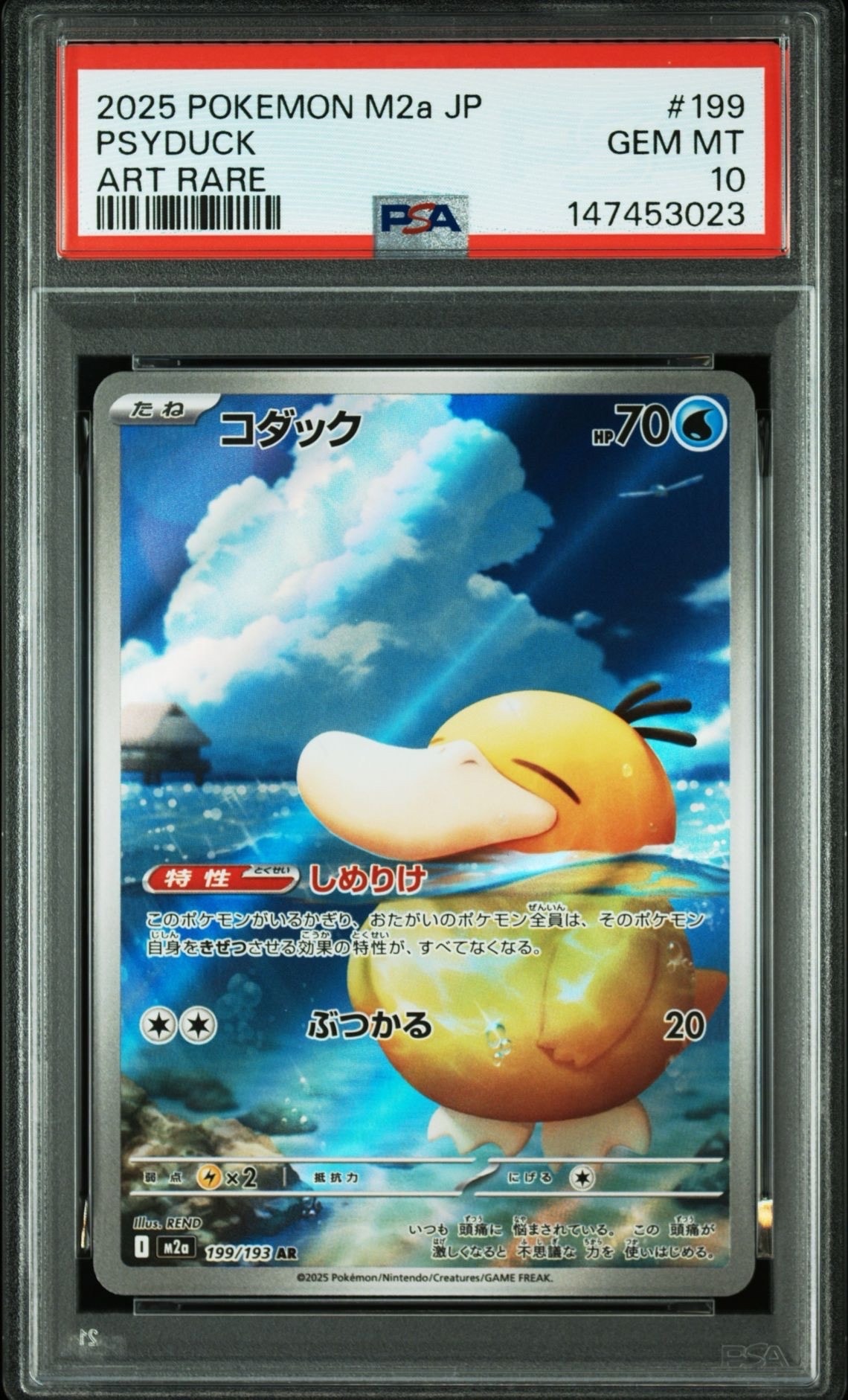 コダック AR [M2a 199/193](ハイクラスパック「MEGAドリームex」)の