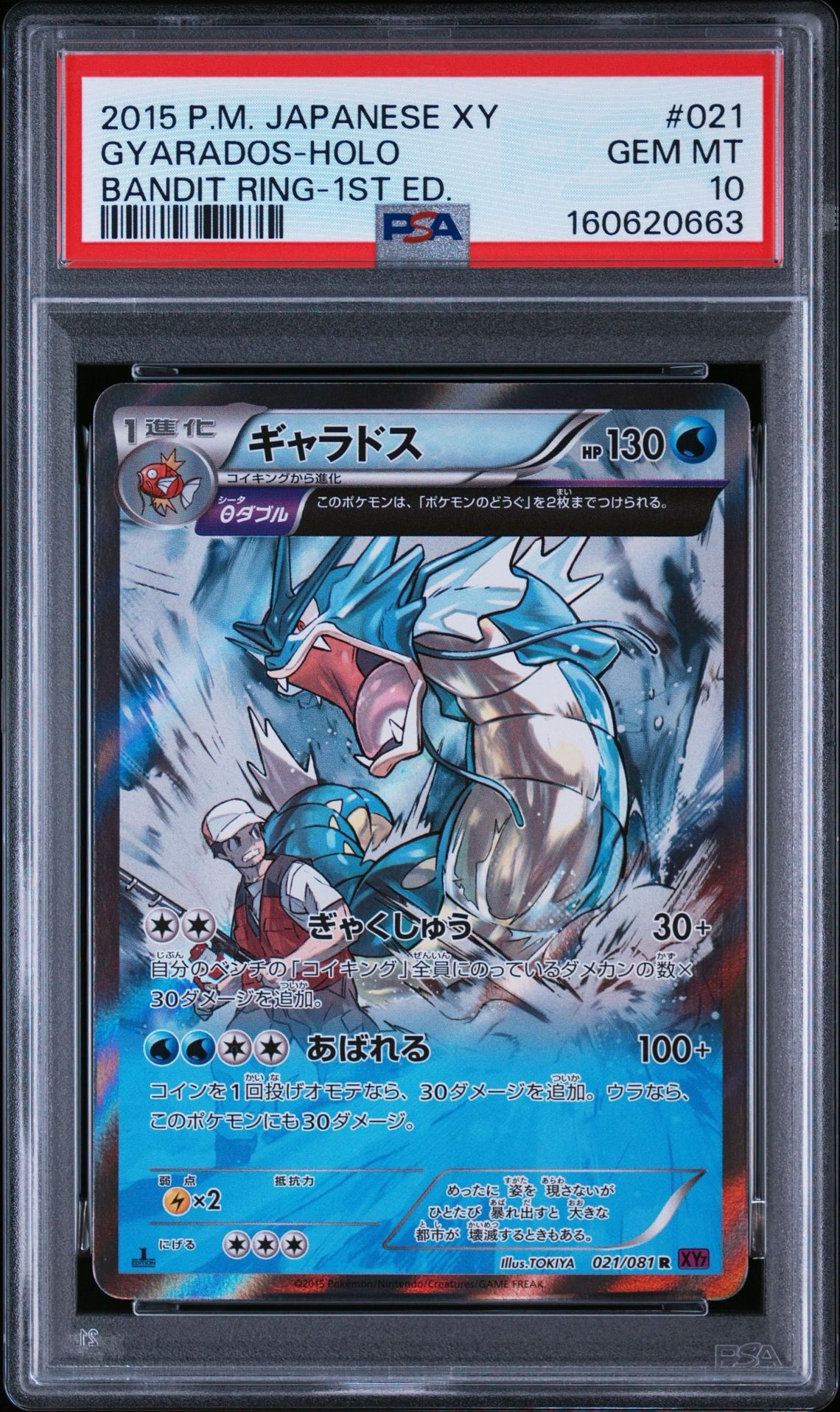 ギャラドス R XY7 バンデットリング 021/081 ギャラドス R :1ED [XY7 021/081](拡張パック「バンデットリング