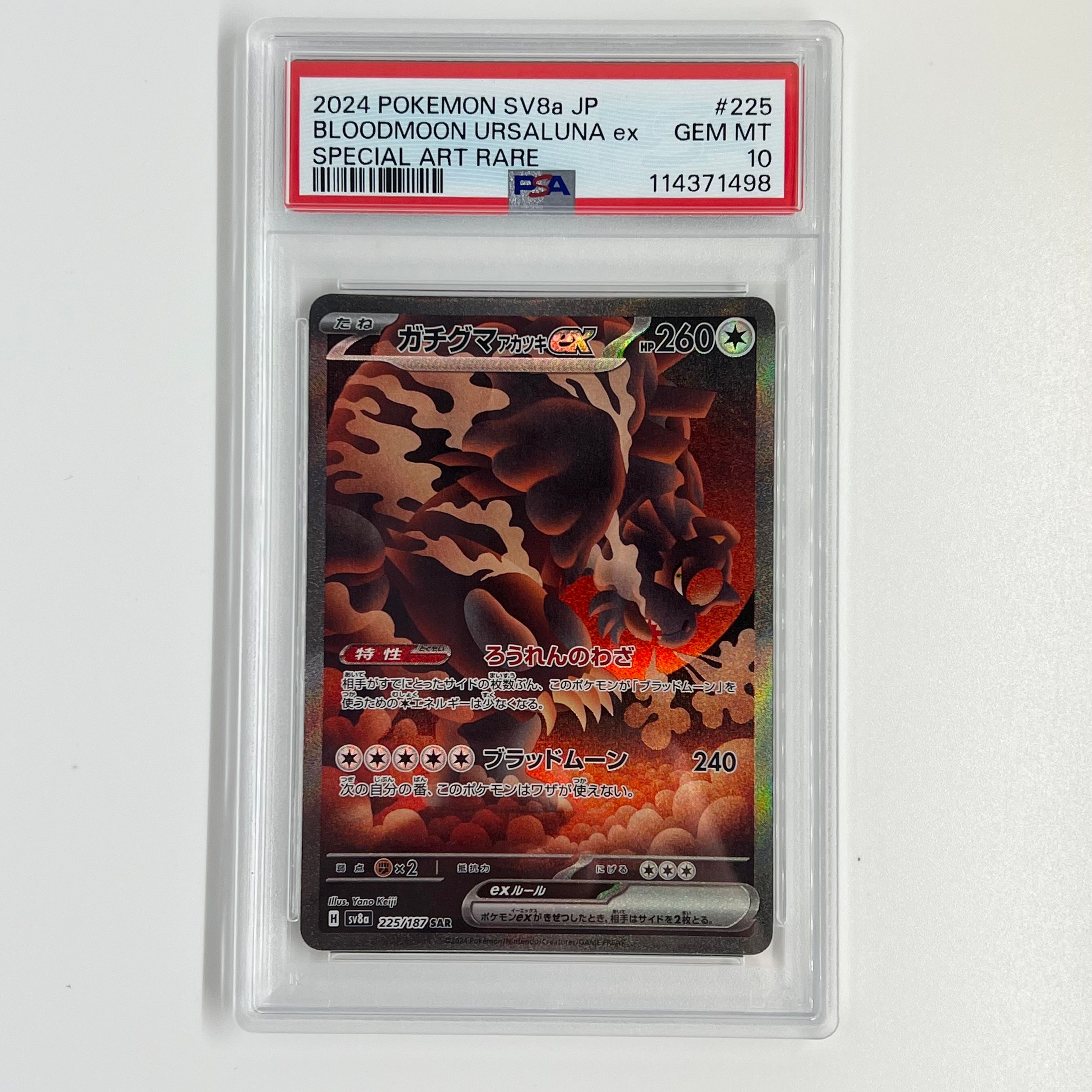 ガチグマ アカツキex SAR [SV8a 225/187](ハイクラスパック「テラスタルフェスex」)