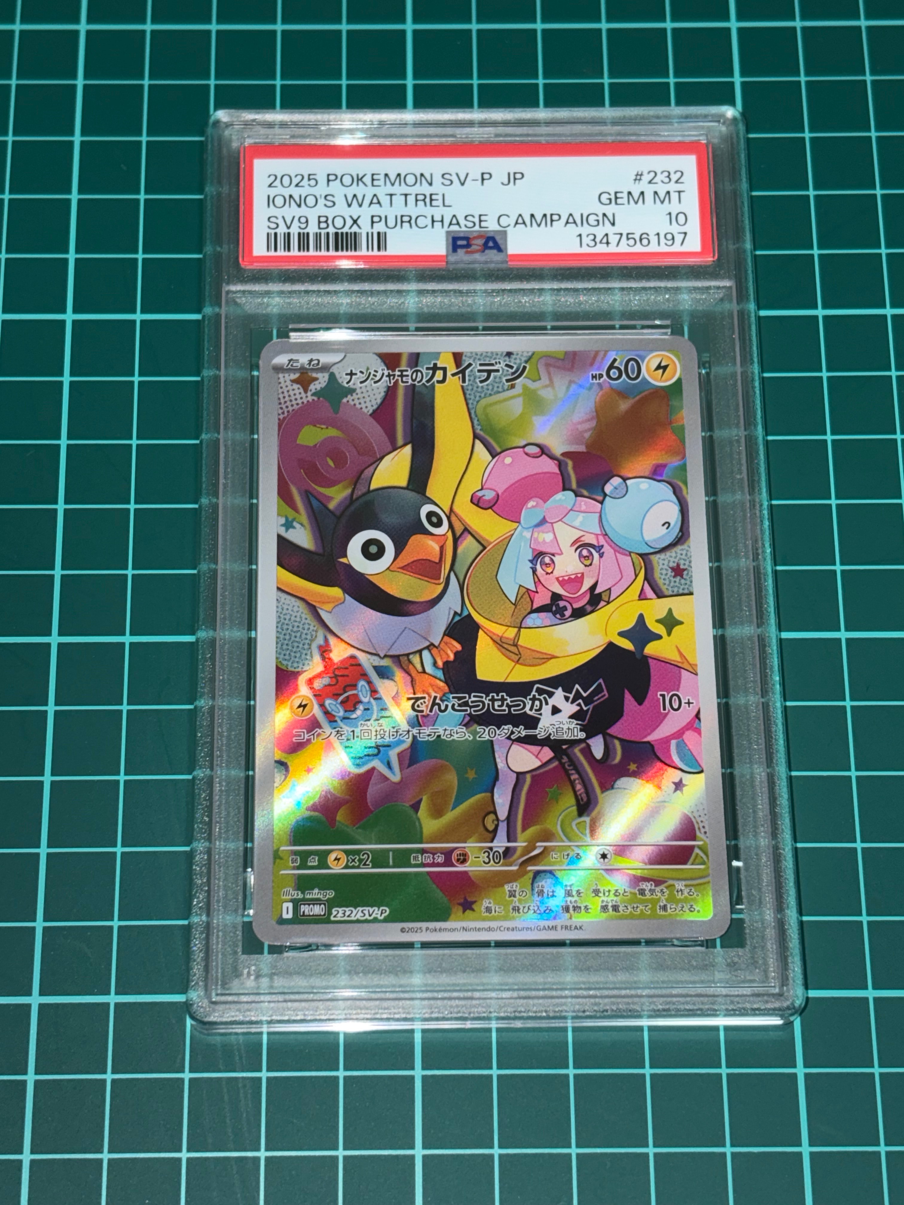 ナンジャモのカイデン P [SV-P 232](プロモーションカード「拡張パック バトルパートナーズ Box購入キャンペーン」)