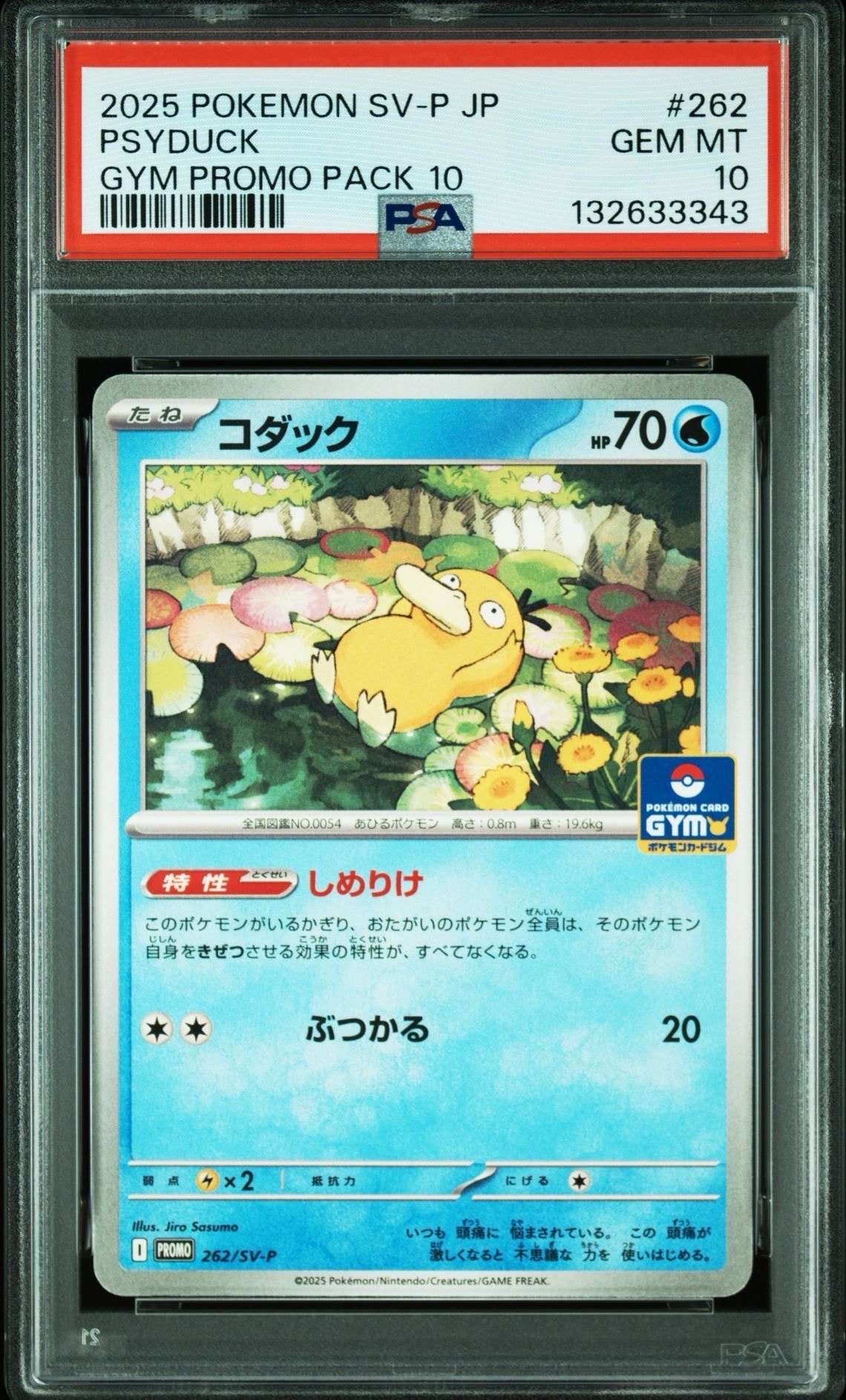 コダック P [SV-P 262](プロモカードパック「第10弾」)