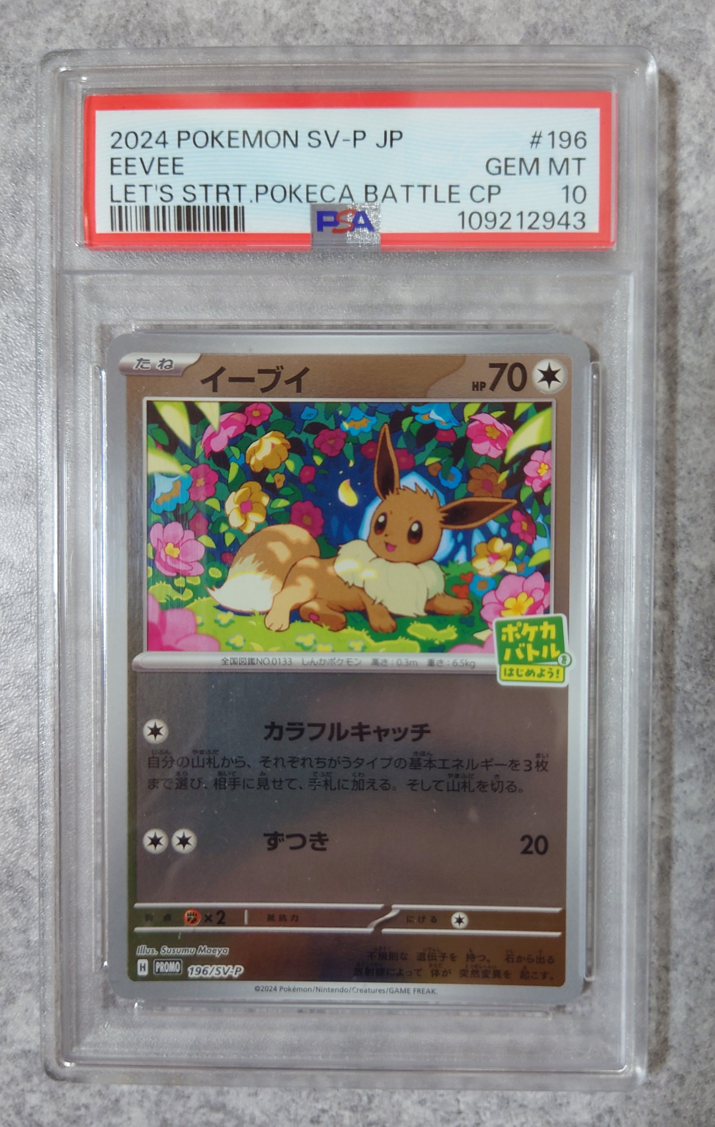イーブイ P [SV-P-SM 196](プロモカードパック「ポケカバトルをはじめよう!キャンペーン」)
