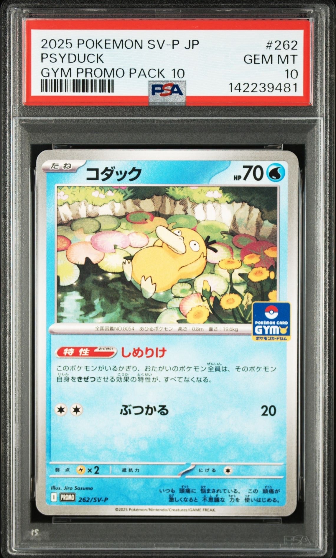 PSA10】コダック P [SV-P 262](プロモカードパック「第10弾」) 1枚の