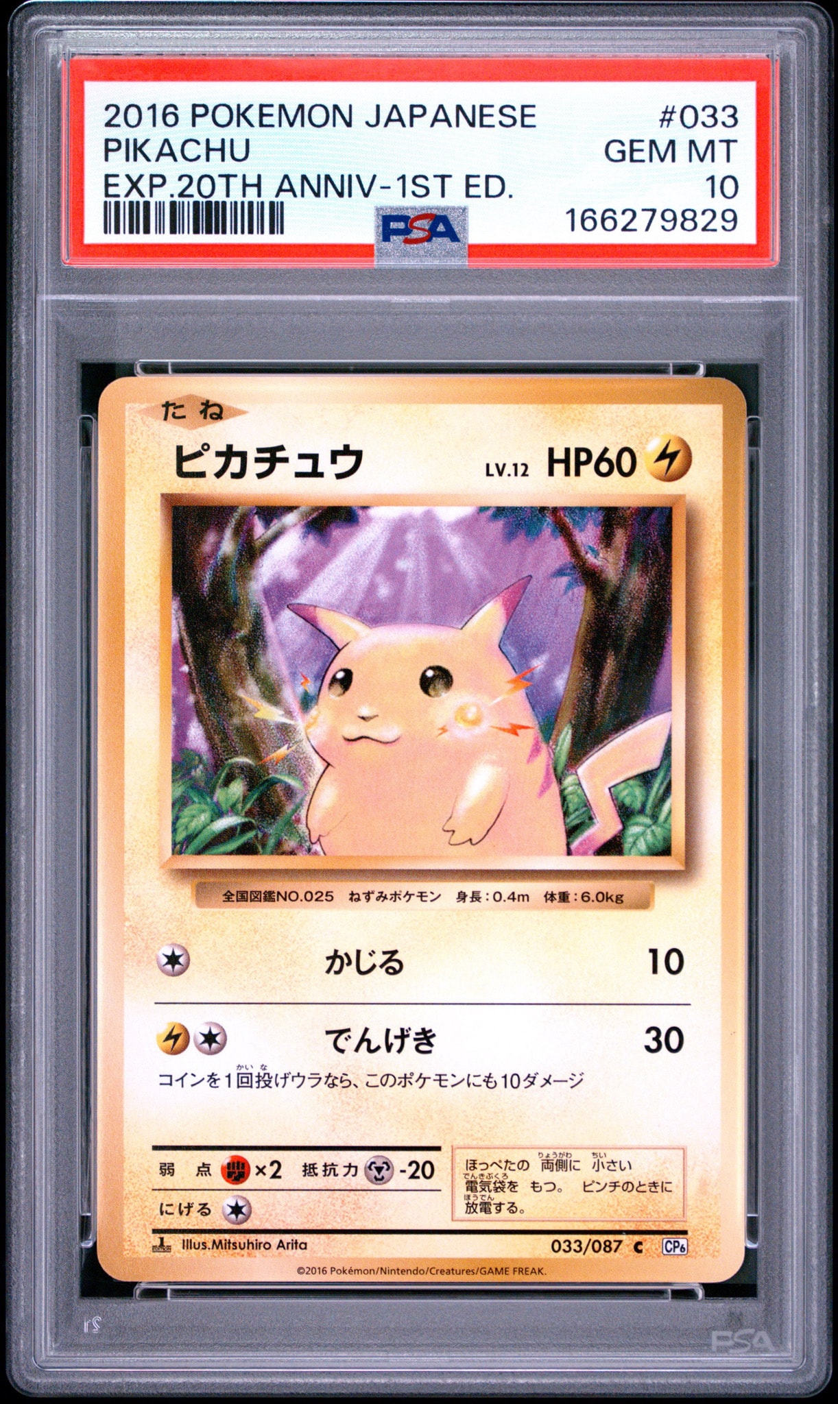 ピカチュウ C :1ED [CP6 033/087](コンセプトパック