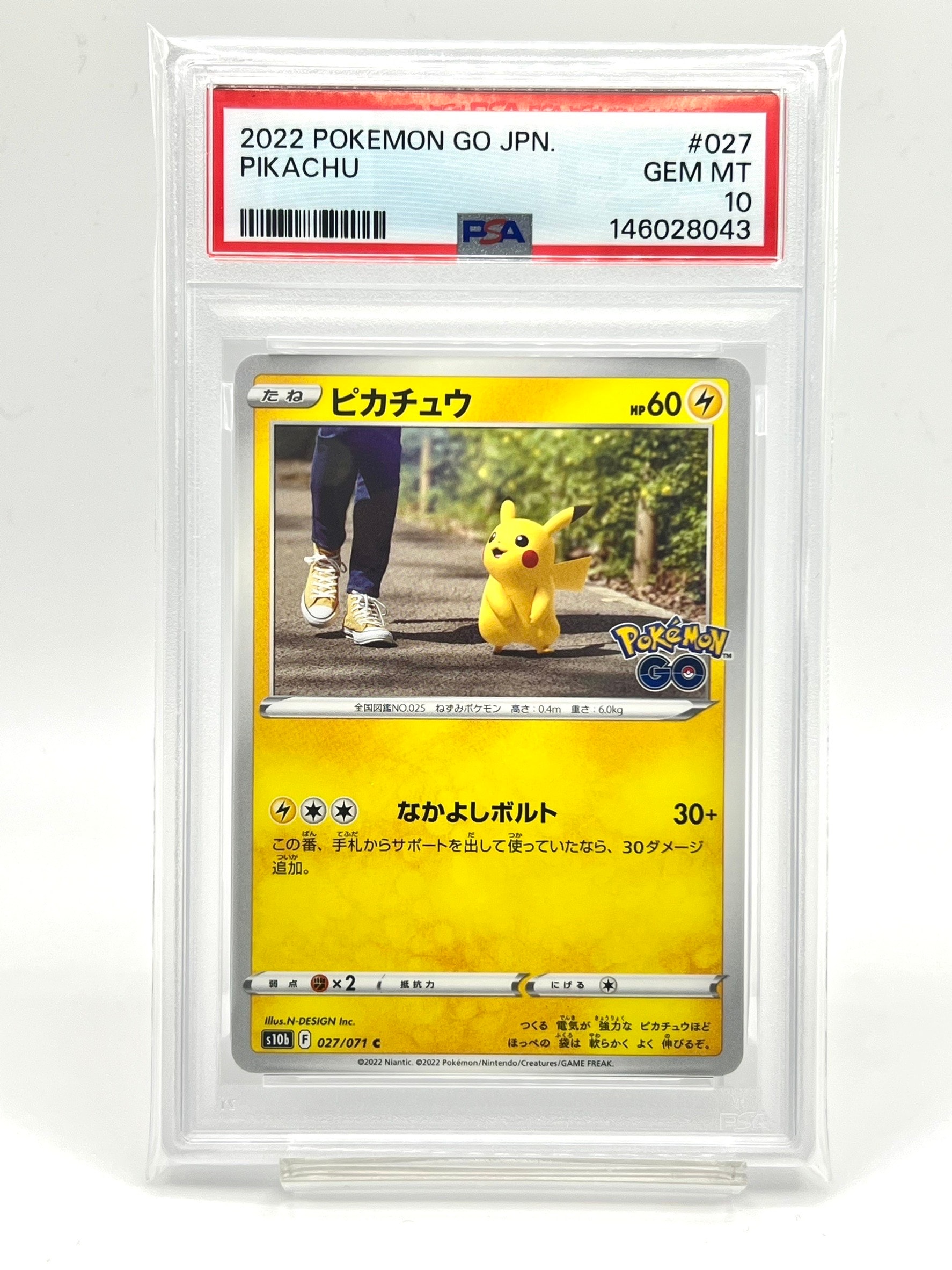 ピカチュウ P [BW-P 229/BW-P](プロモーションカード「ポケモン