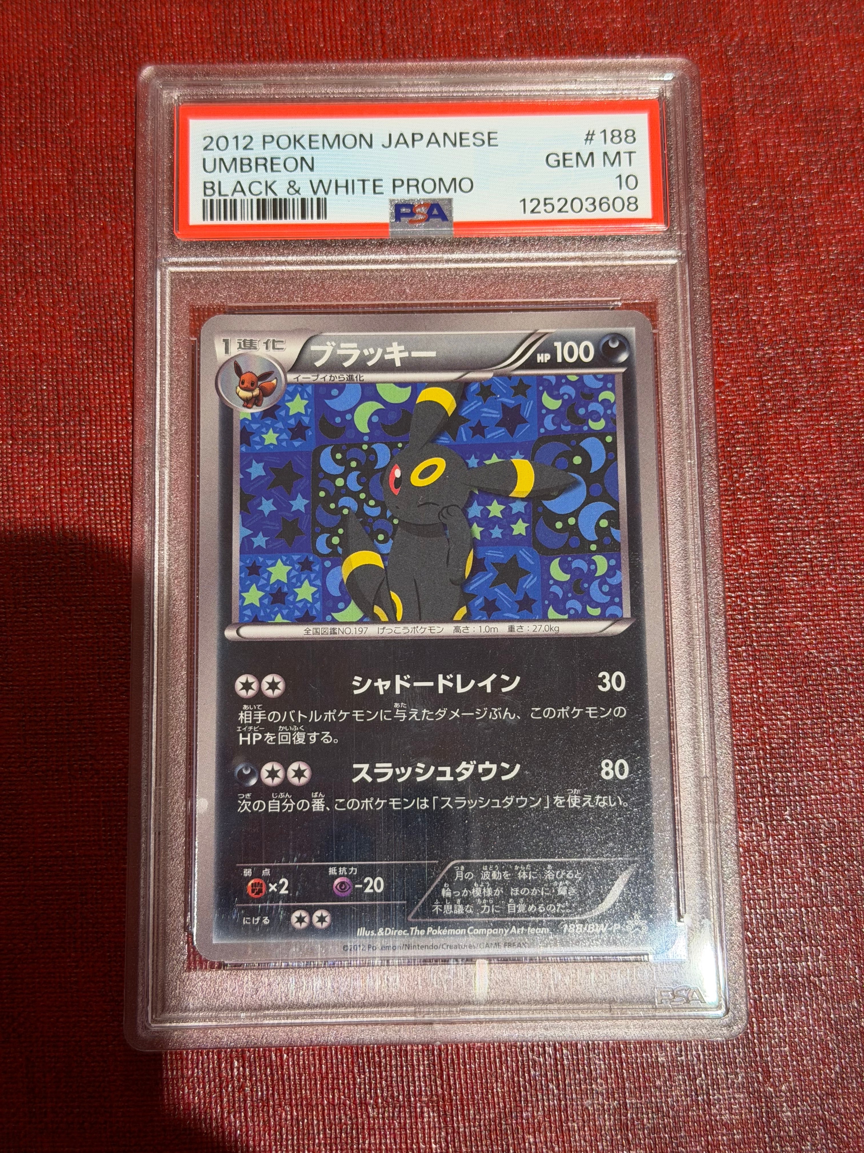 ブラッキー P [BW-P 188/BW-P](プロモーションカード「コレクション