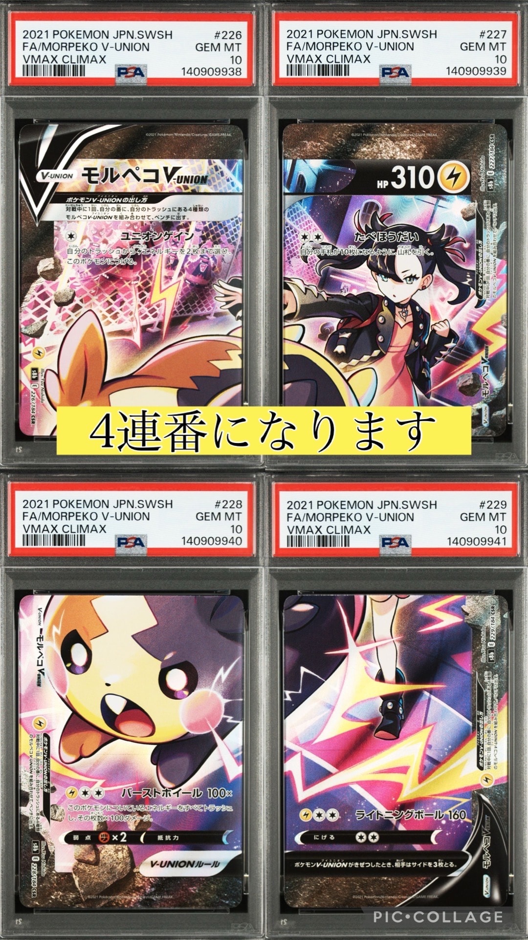 モルペコV-UNION CSR[S8b 226-229/184](ハイクラスパック「VMAXクライマックス」)