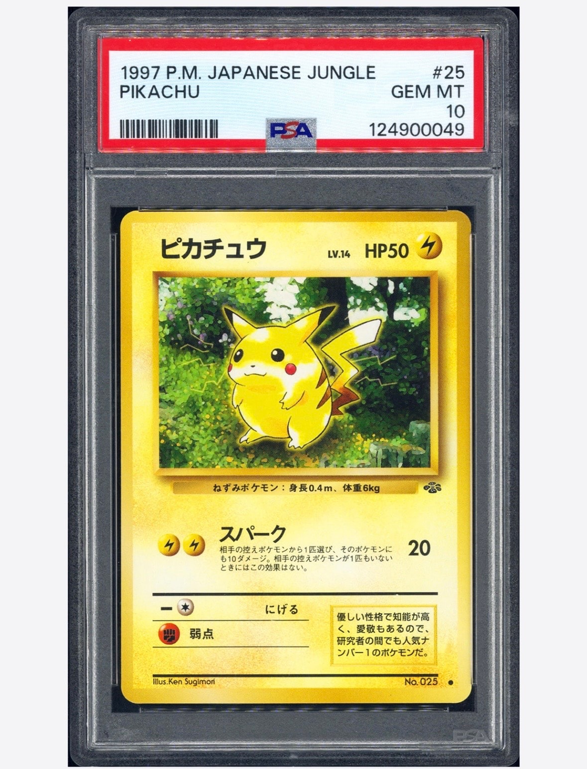 ピカチュウ ● : 旧裏 [PMCG2 No.025](拡張パック「ポケモンジャングル」)