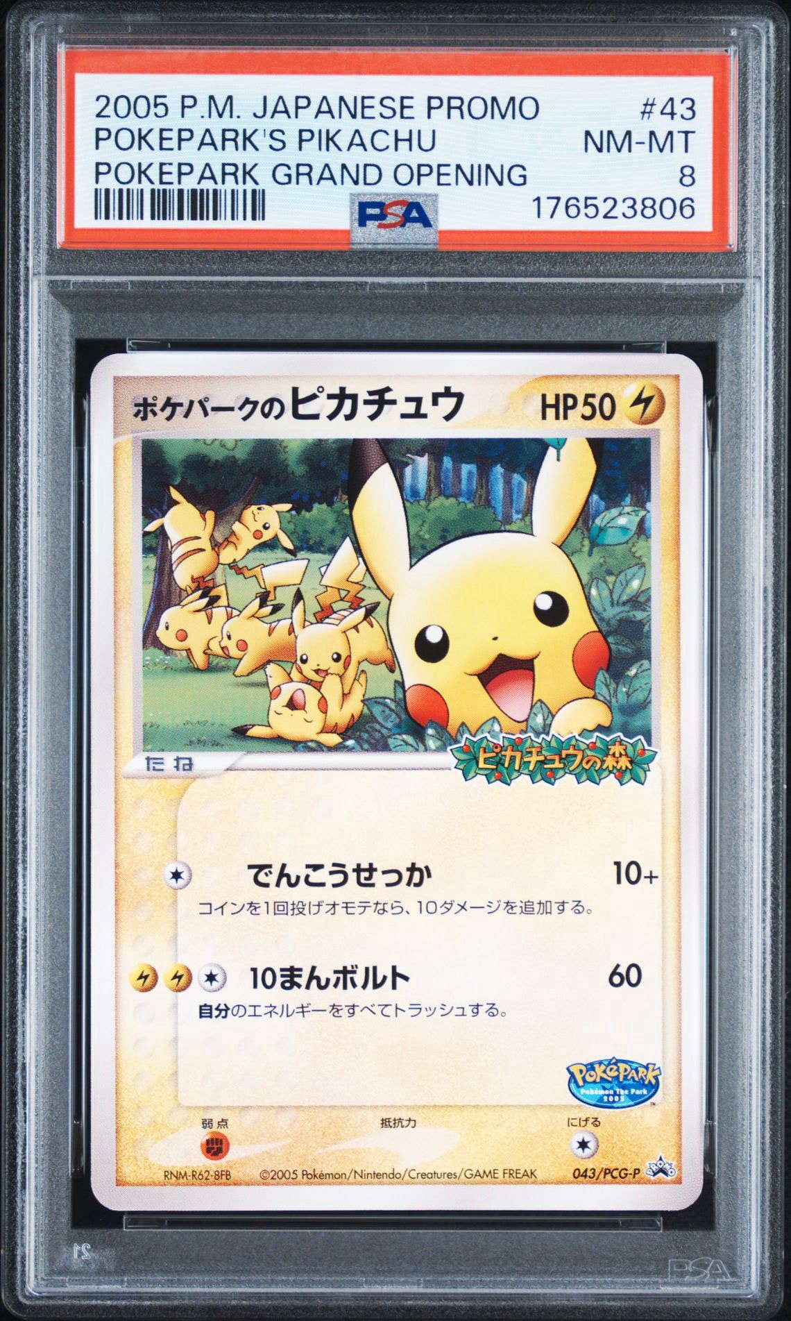 ポケパークのピカチュウ P [PCG-P 043](プロモーションカード