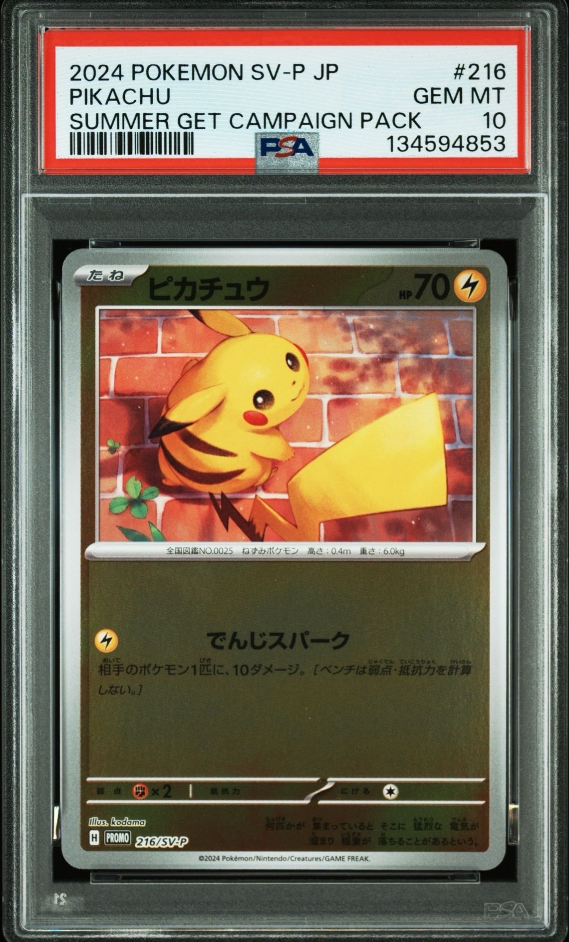 ピカチュウ P [SV-P 216](プロモカードパック「ポケカの夏がキタ!プロモカードGetキャンペーン!」)