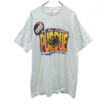 FRUIT OF THE LOOM フルーツオブザルーム 90s USA製 オールド プリント 半袖 シングルステッチ Tシャツ XL グレー系
