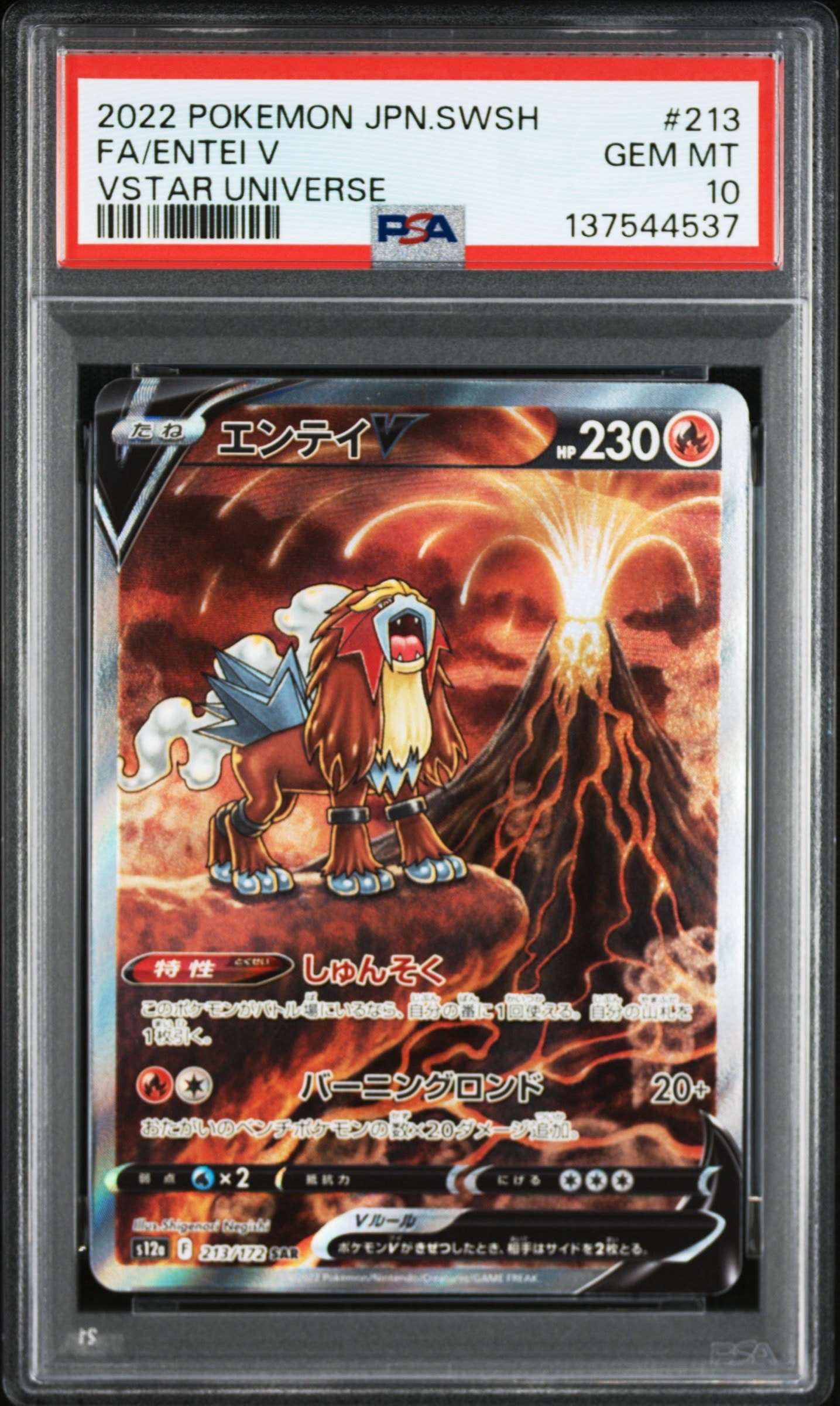 PSA10】エンテイV SAR[s12a 213/172](ハイクラスパック「VSTAR