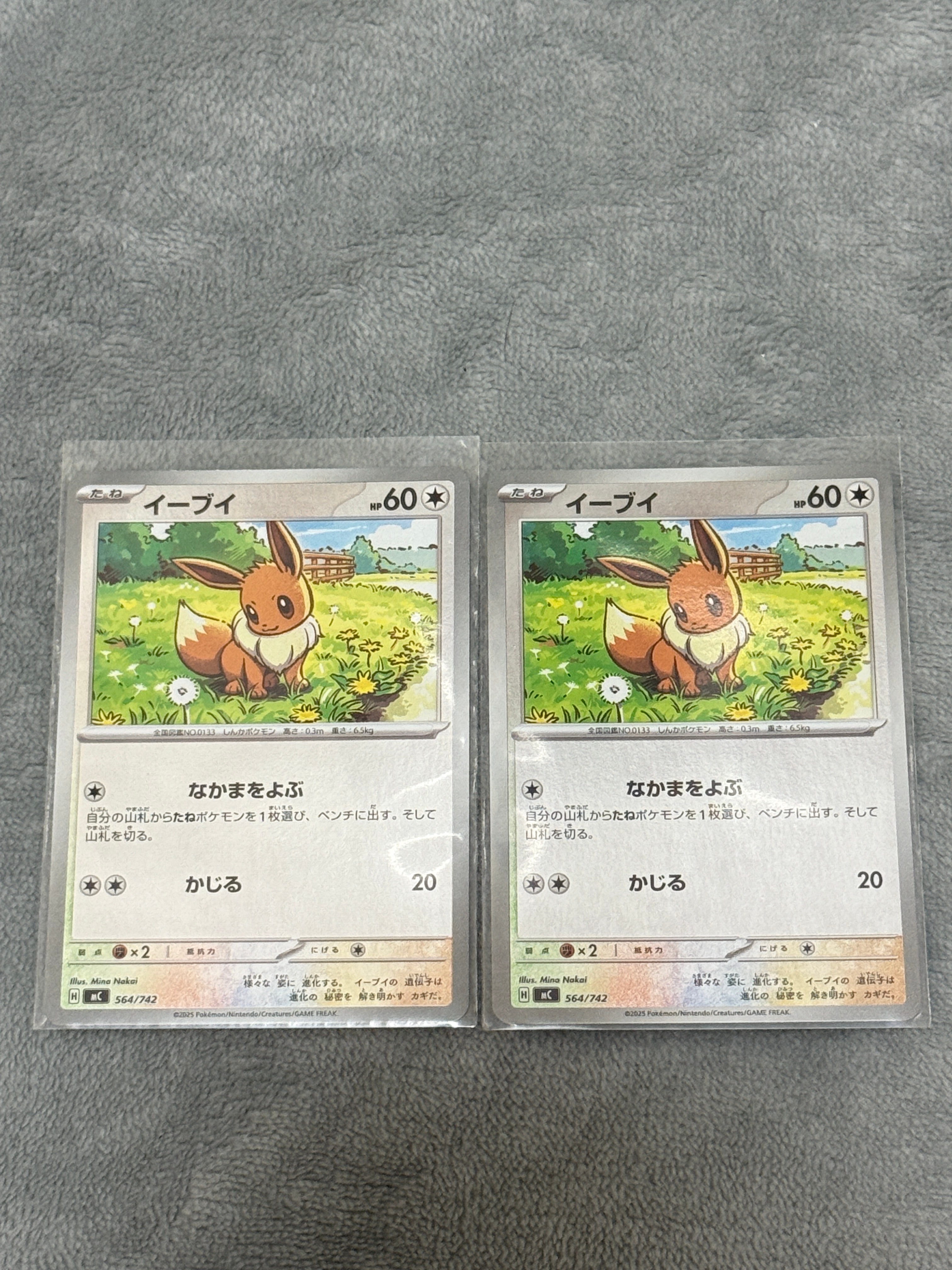 イーブイ :ミラー [MC 564/742](スタートデッキ100「バトルコレクション」)