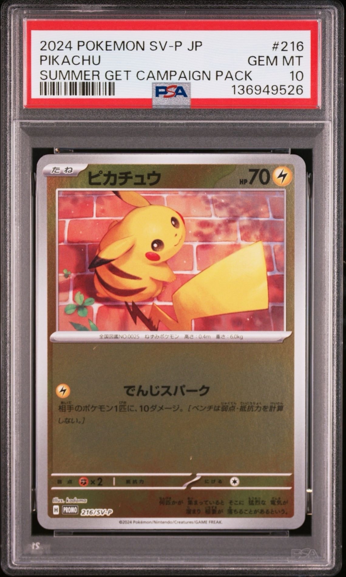 ピカチュウ P [SV-P 216](プロモカードパック「ポケカの夏がキタ!プロモカードGetキャンペーン!」)