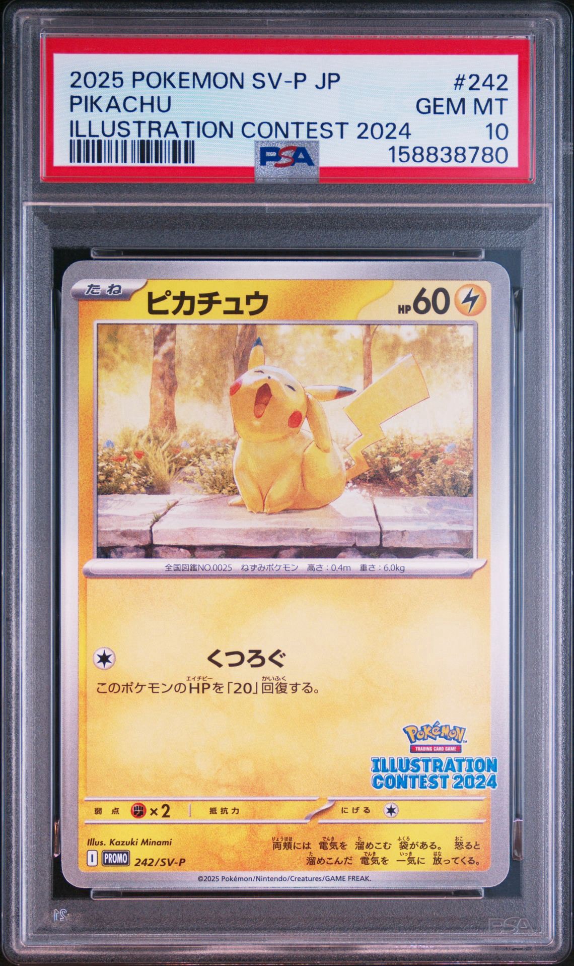 ピカチュウ [SV-P 242](プロモカードパック「イラストレーション