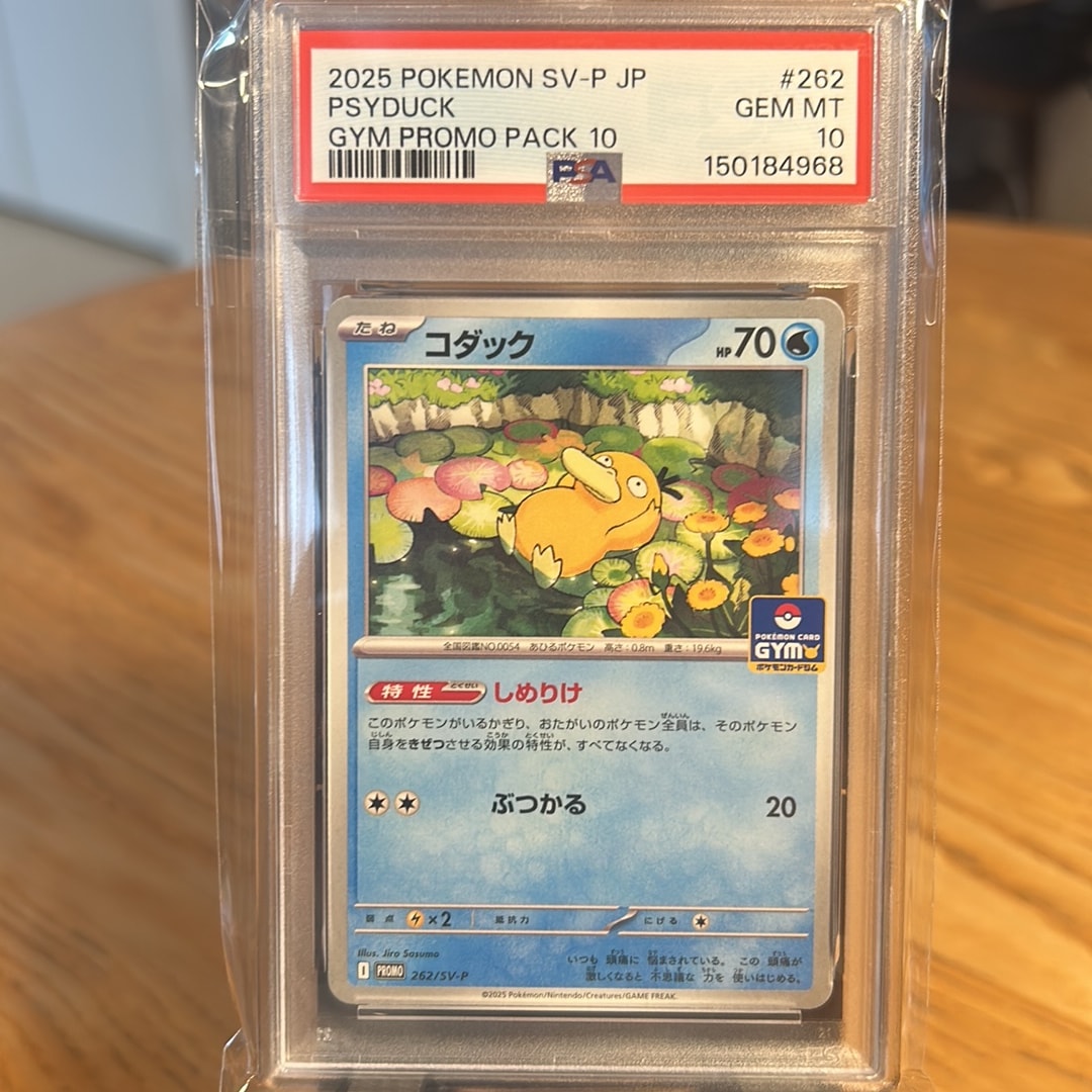 コダック P [SV-P 262](プロモカードパック「第10弾」)通販・買取