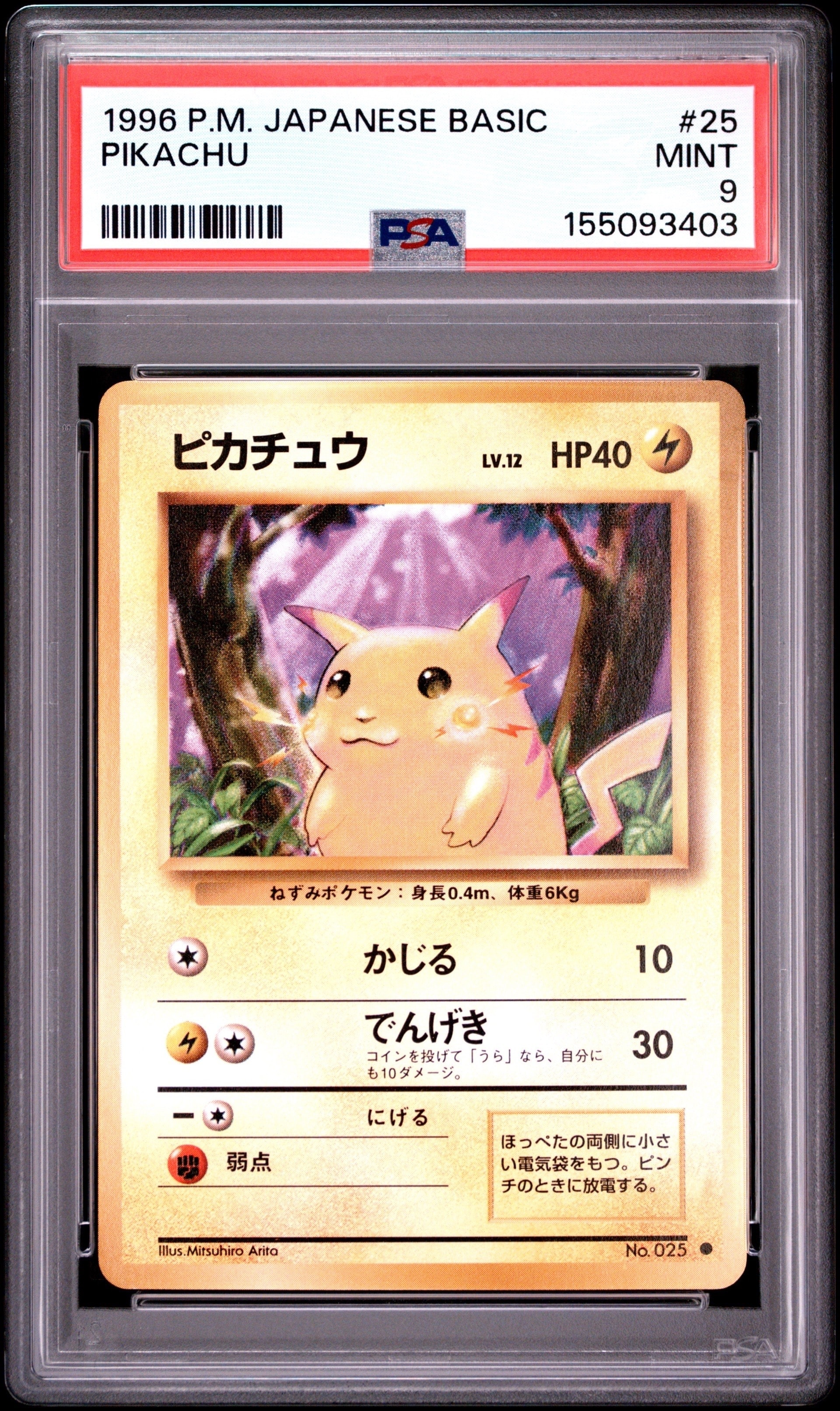 PSA8以下】ピカチュウ ○ : 旧裏 [PMCG1-2](拡張パック