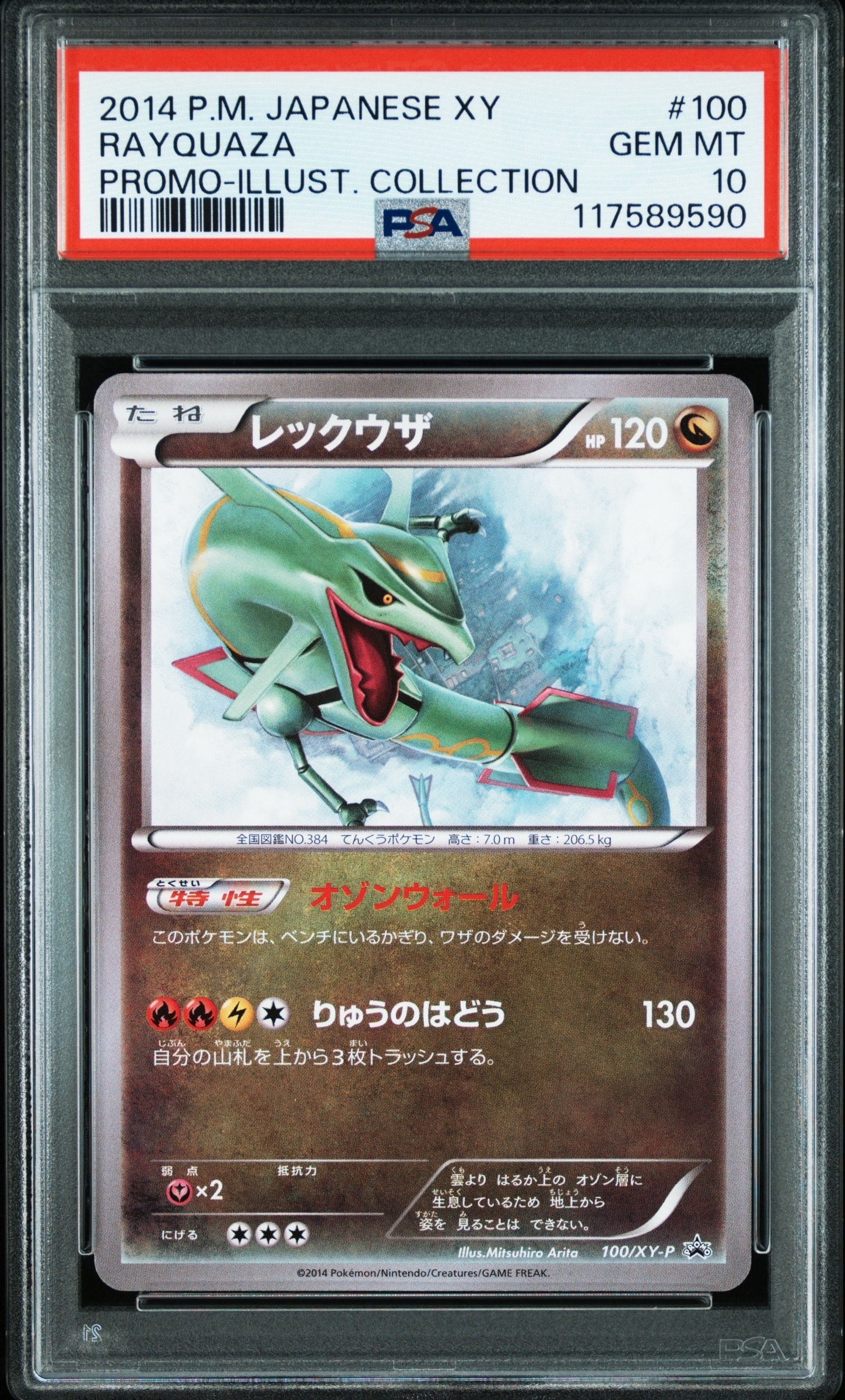 レックウザ イラストコレクション: プロモ[XY-P 100/XY-P](プロモーションカード「XY-P」)
