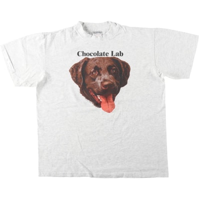 古着 90年代 オニータ ONEITA POWER-T CHOCOLATE LAB チョコレートラブ 犬柄 アニマルTシャツ USA製 メンズL相当 ヴィンテージ/eaa646517