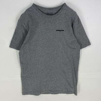 古着 パタゴニア patagonia 半袖Tシャツ ロゴプリント アウトドア クルーネック ショートスリーブ M グレー系 メンズ