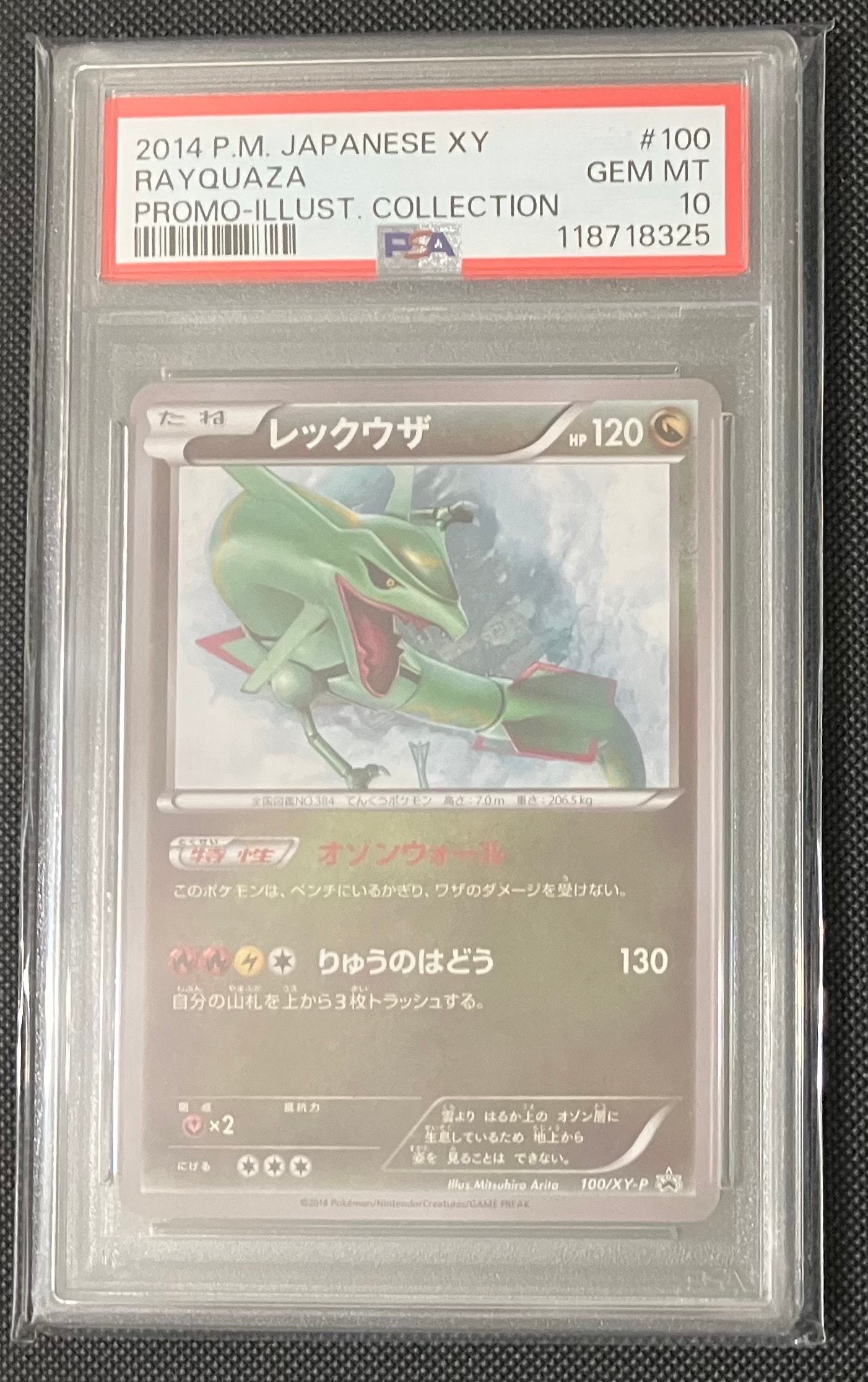 レックウザ イラストコレクション: プロモ[XY-P 100/XY-P](プロモーションカード「XY-P」)