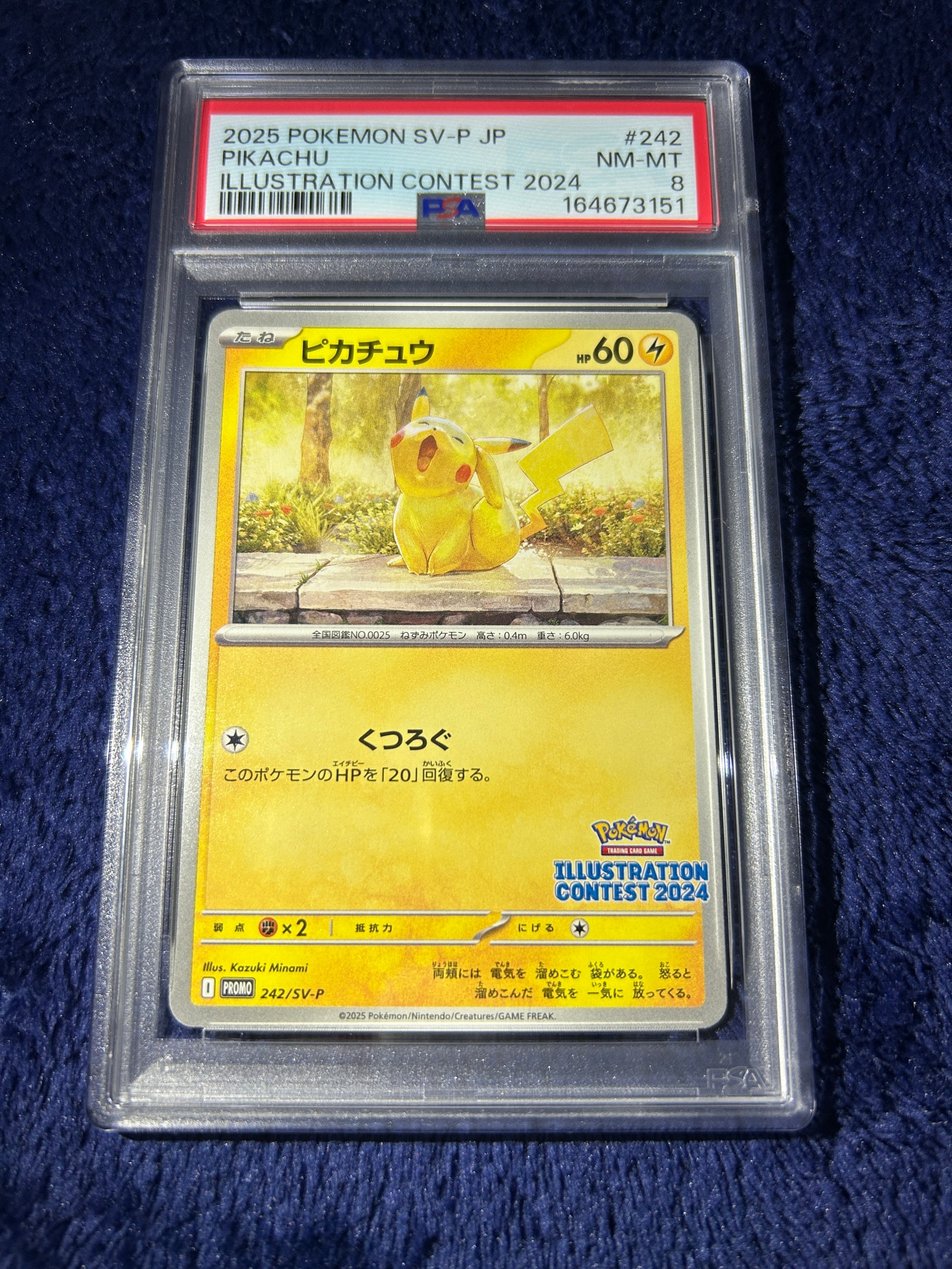 PSA8以下】ピカチュウ [SV-P 242](プロモカードパック