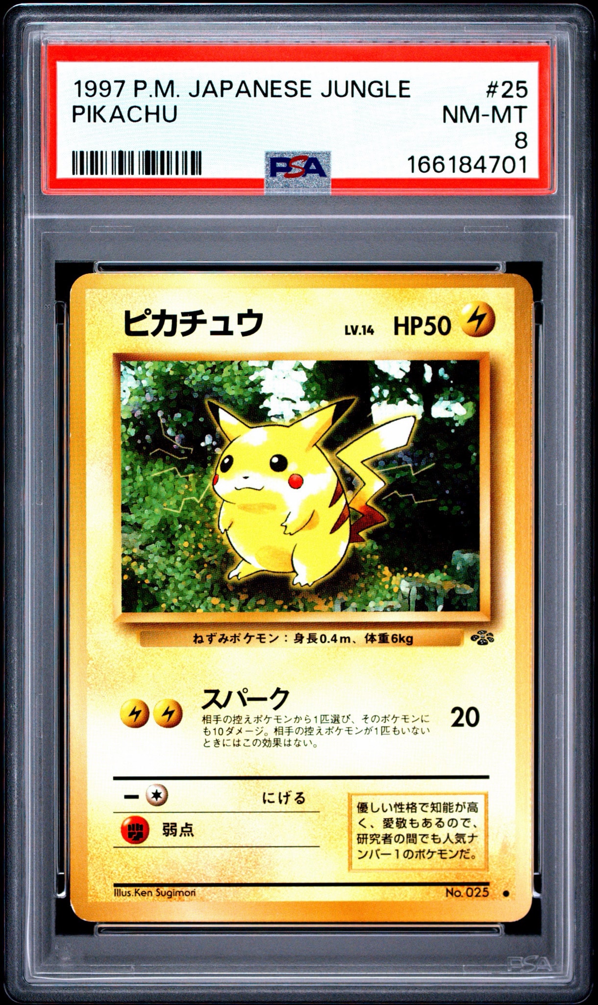ピカチュウ ● : 旧裏 [PMCG2 No.025](拡張パック「ポケモンジャングル」)