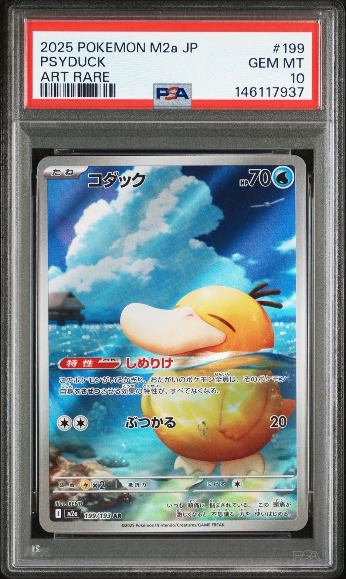 コダック AR [M2a 199/193](ハイクラスパック「MEGAドリームex」)