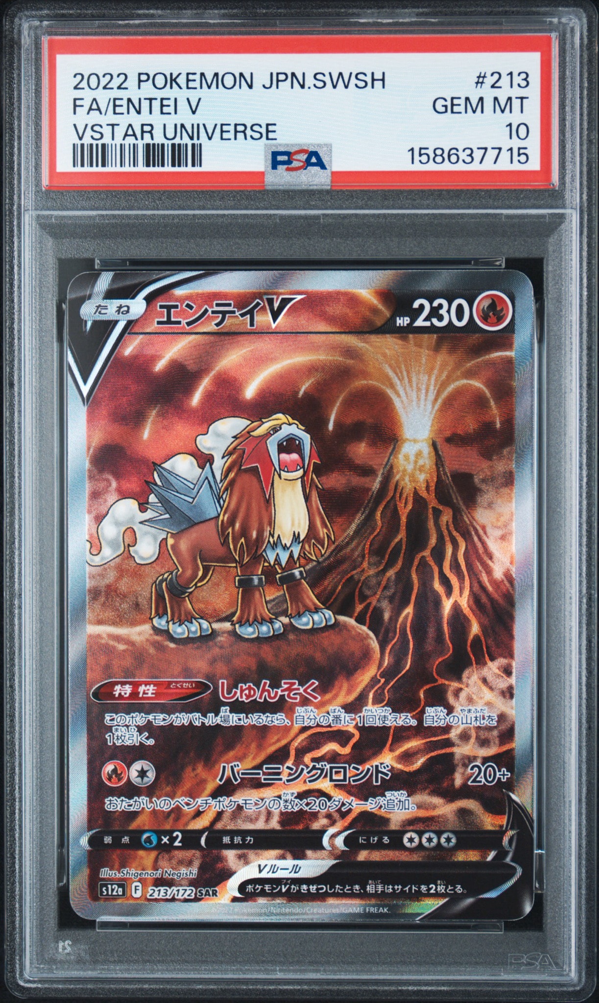 エンテイV SAR[s12a 213/172](ハイクラスパック「VSTARユニバース」)
