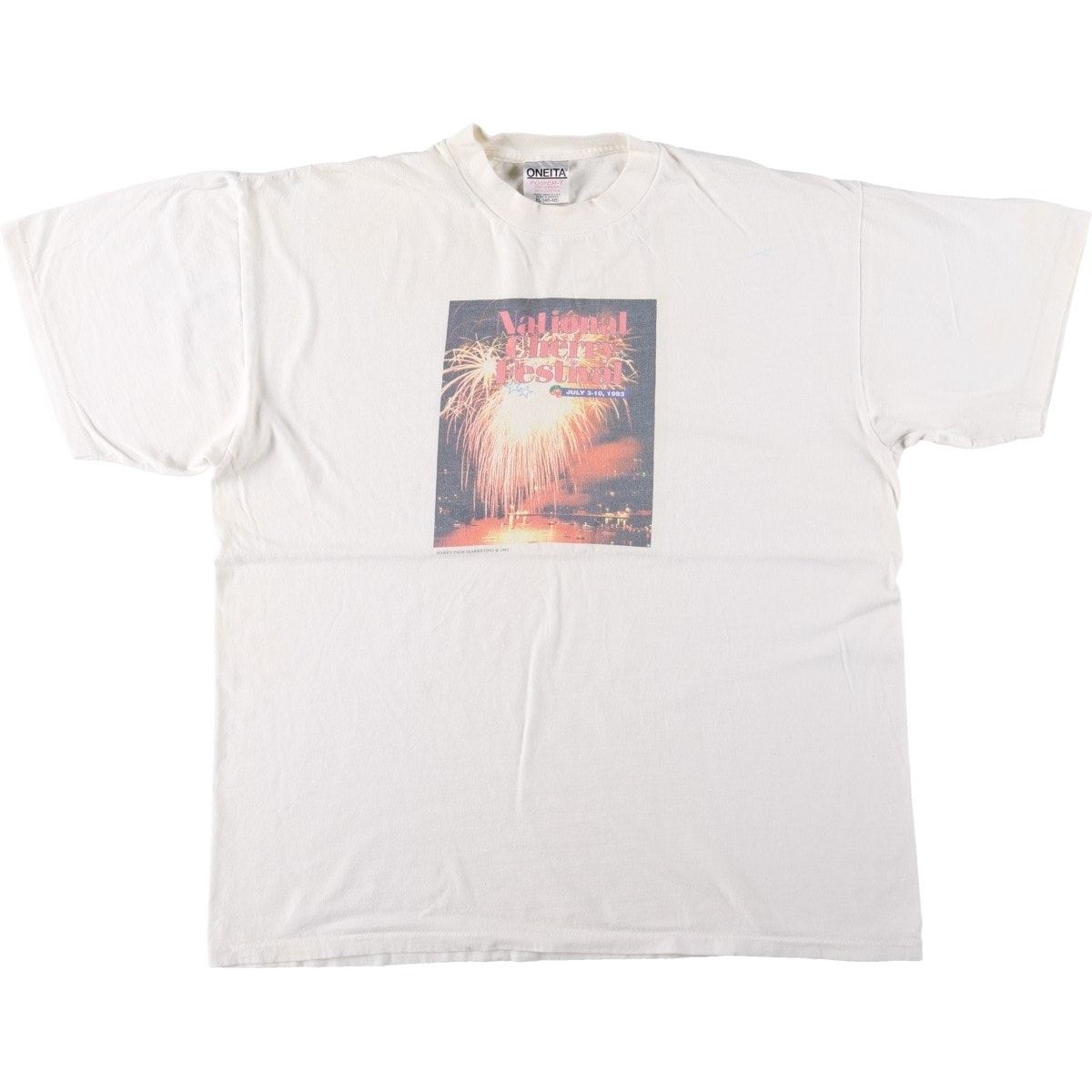 古着 90年代 オニータ ONEITA POWER-T フォトTシャツ USA製 メンズXL相当 ヴィンテージ/eaa642312
