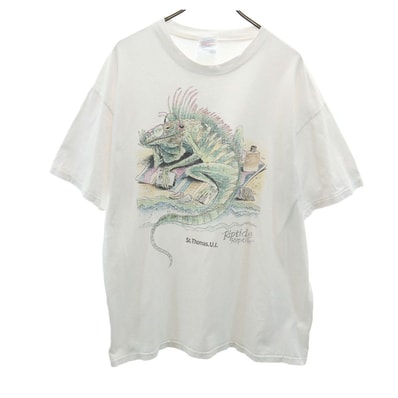 Hanes ヘインズ 90s USA製 プリント 半袖 Tシャツ XL ホワイト系 シングルステッチ オールド