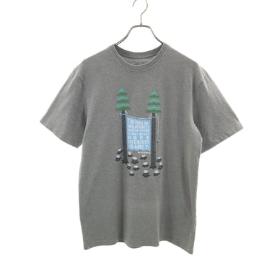 patagonia パタゴニア 半袖 Tシャツ S グレー 38446SP19 アウトドア