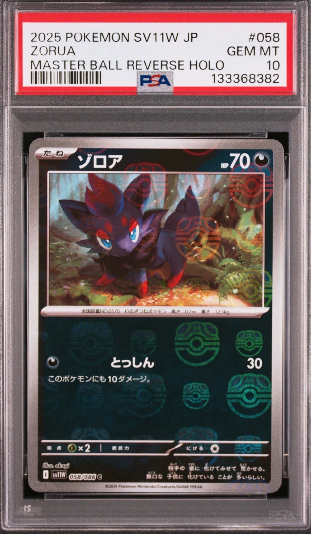 ゾロア C :マスターボールミラー [SV11W 058/086](拡張パック「ホワイトフレア」)