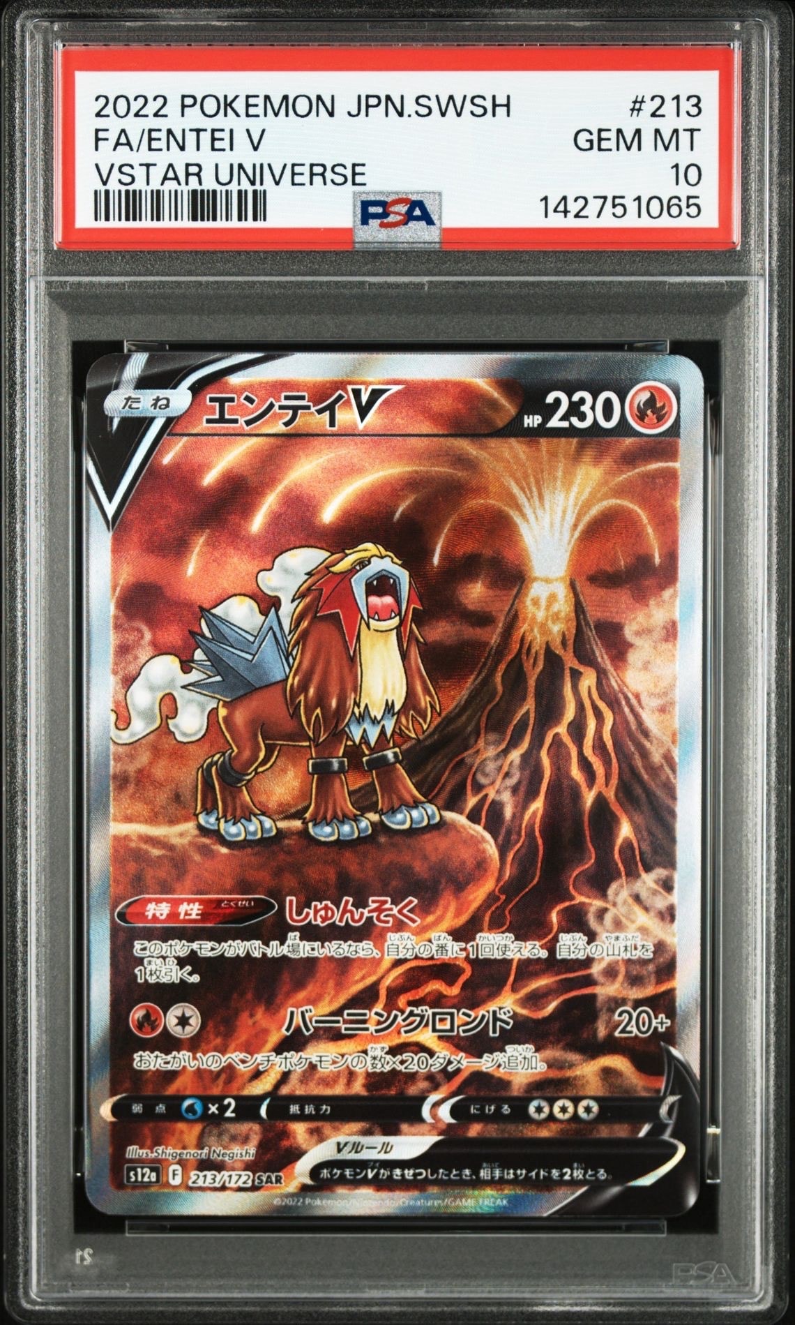 エンテイV SAR[s12a 213/172](ハイクラスパック「VSTARユニバース」)