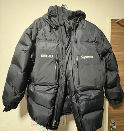 Supreme GORE-TEX 700-Fill Down Parka "Black"