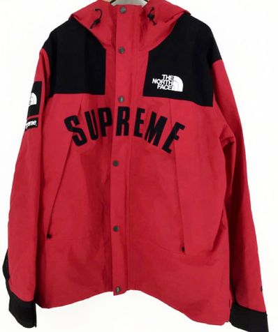 Supreme x The North Face Arc Logo Mountain Parka "Red"