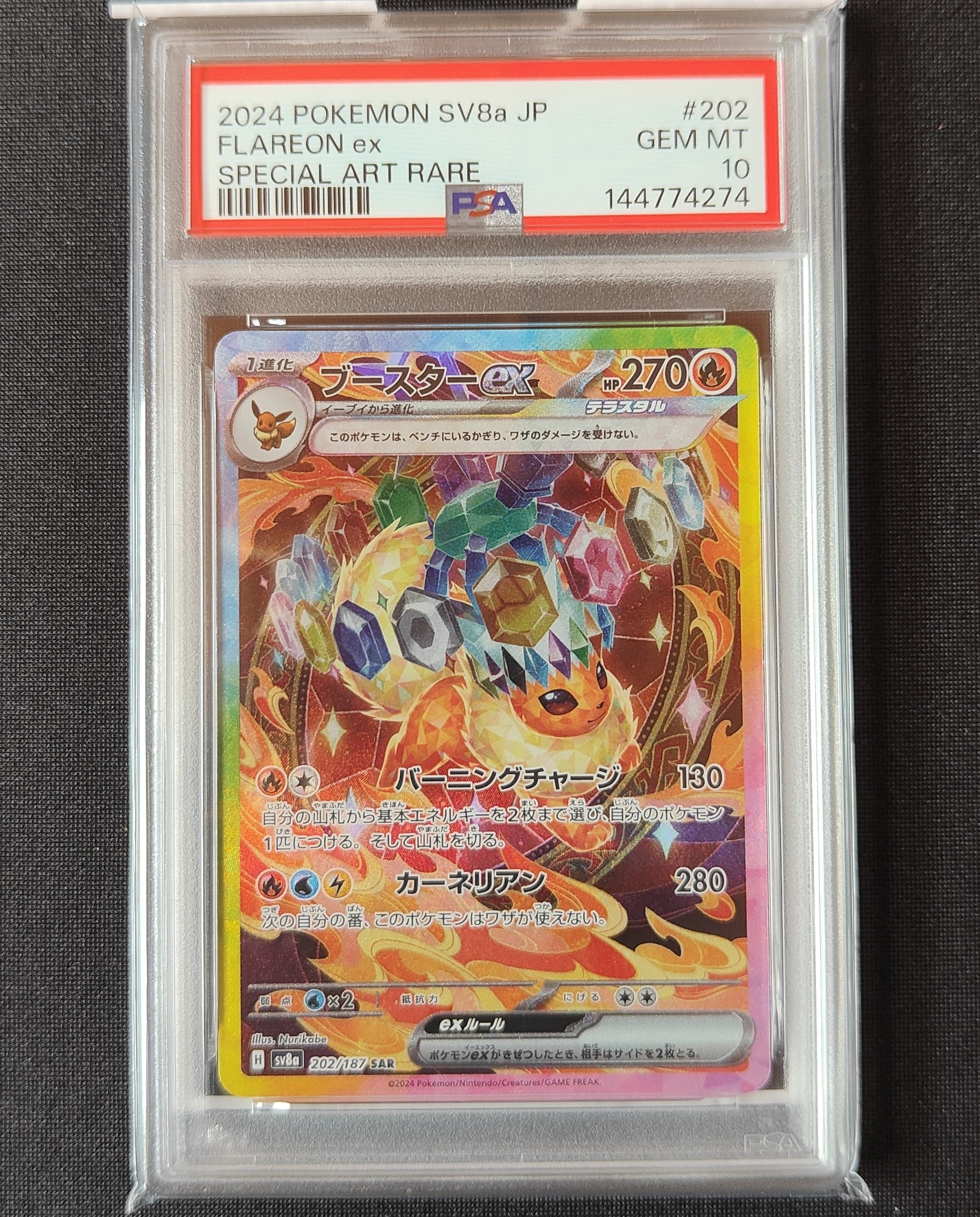 ミュウツー：バトルフェスタ2015 PROMO XYシリーズプロモーションカード ミュウツー P [XY-P 202](プロモーションカード「バトルフェスタ2015