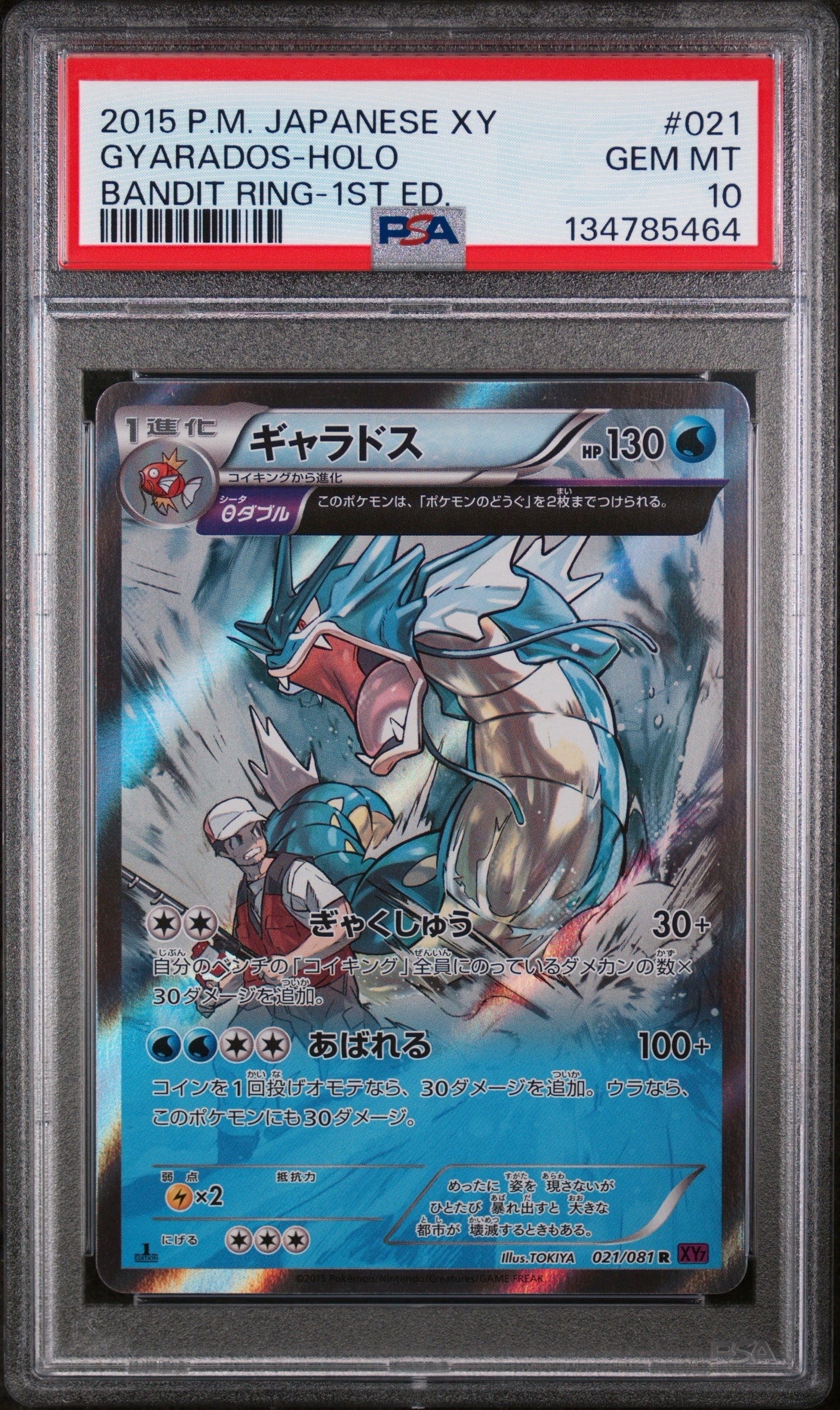 ギャラドス R :1ED [XY7 021/081](拡張パック「バンデットリング」)