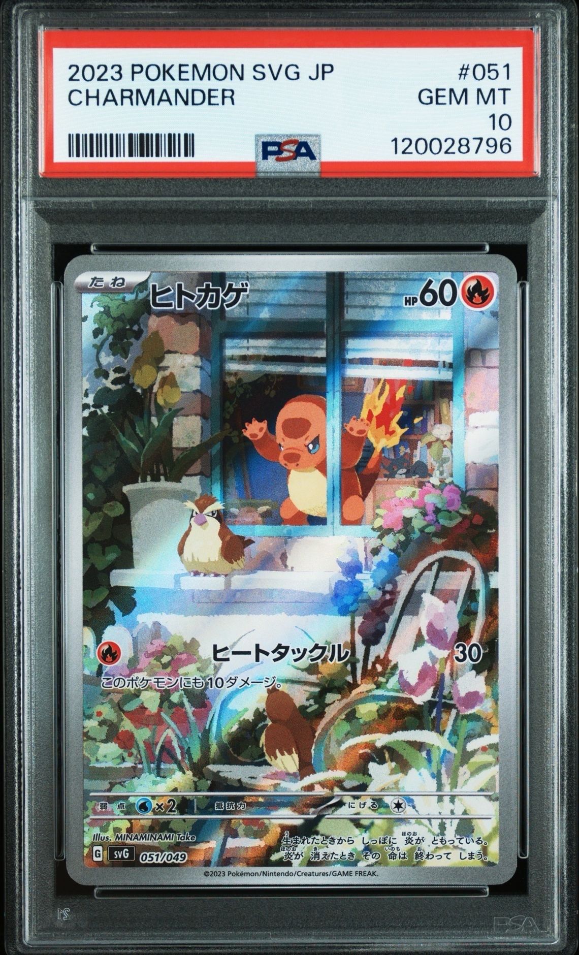 ヒトカゲ :フルイラスト [SVG 051/049](スペシャルデッキセットex「フシギバナ・リザードン・カメックス」)