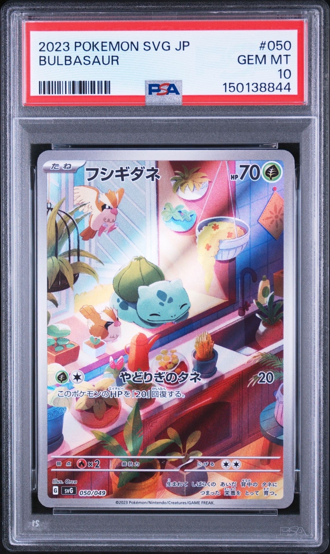 フシギダネ :フルイラスト [SVG 050/049](スペシャルデッキセットex「フシギバナ・リザードン・カメックス」)