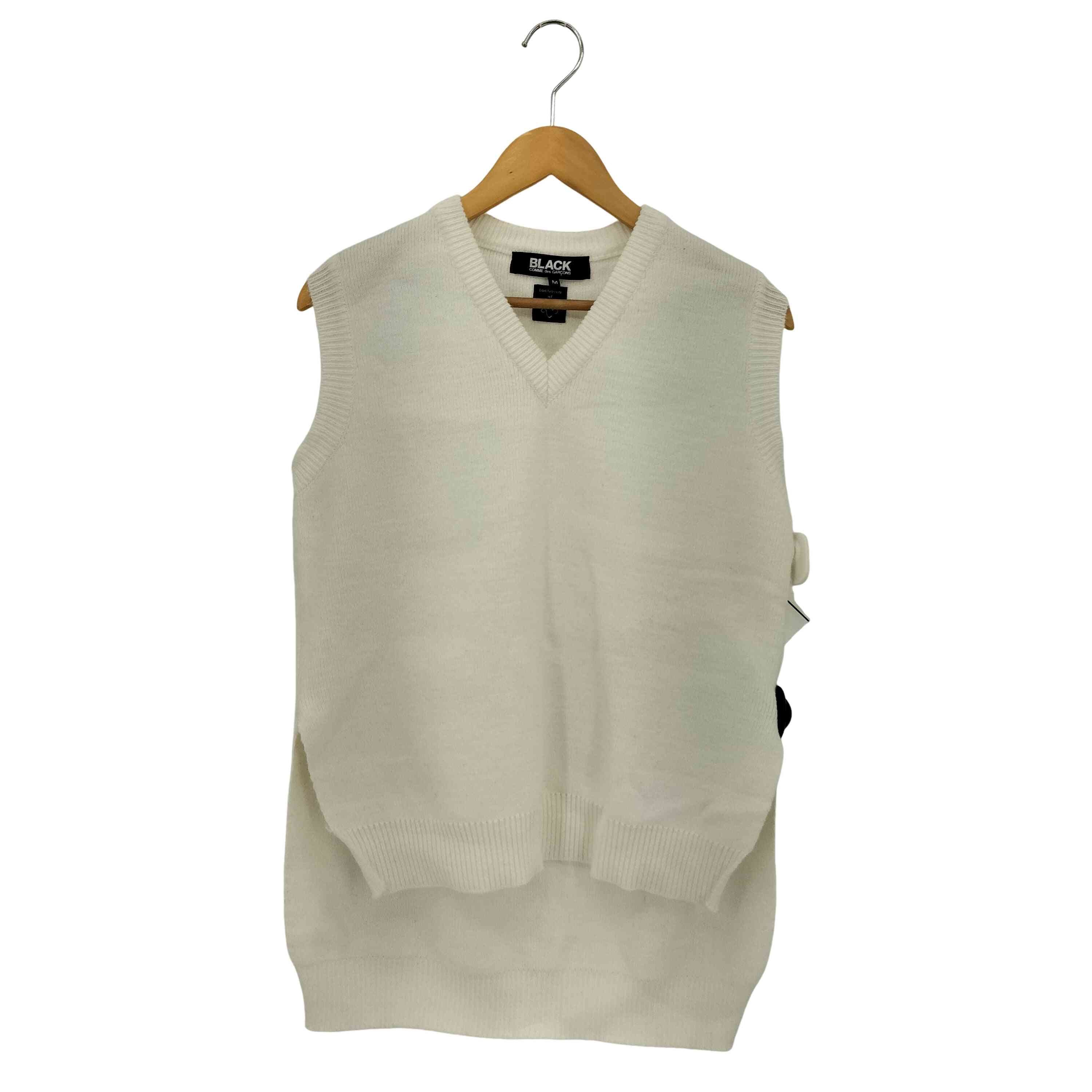 21SS LOCHAVEN of SCOTLAND アクリル Vネック ニットベスト【1139988788187】