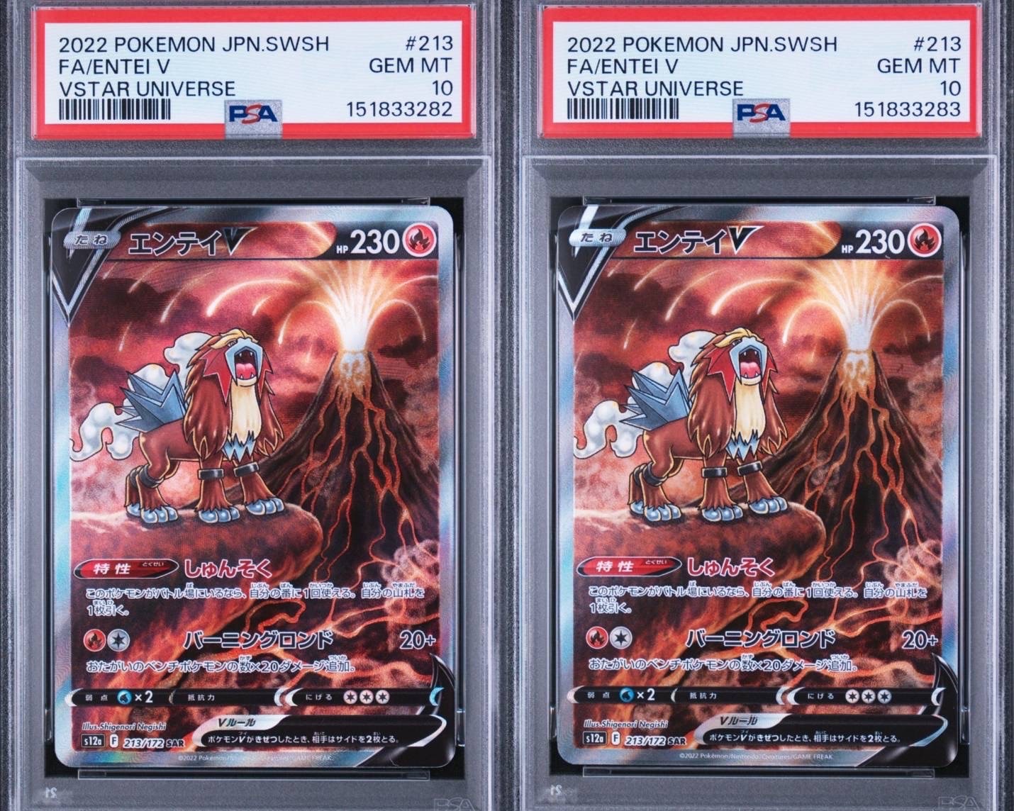 PSA10】エンテイV SAR[s12a 213/172](ハイクラスパック「VSTAR