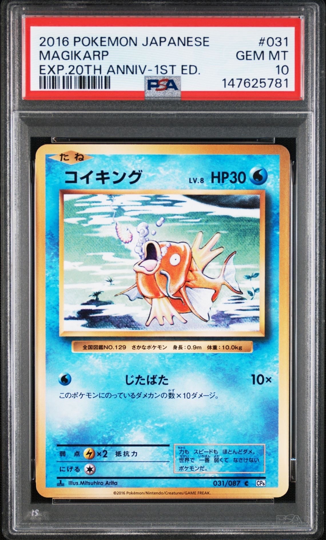 コイキング C :1ED [CP6 031/087](コンセプトパック